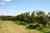 5126 State Highway one photo 13