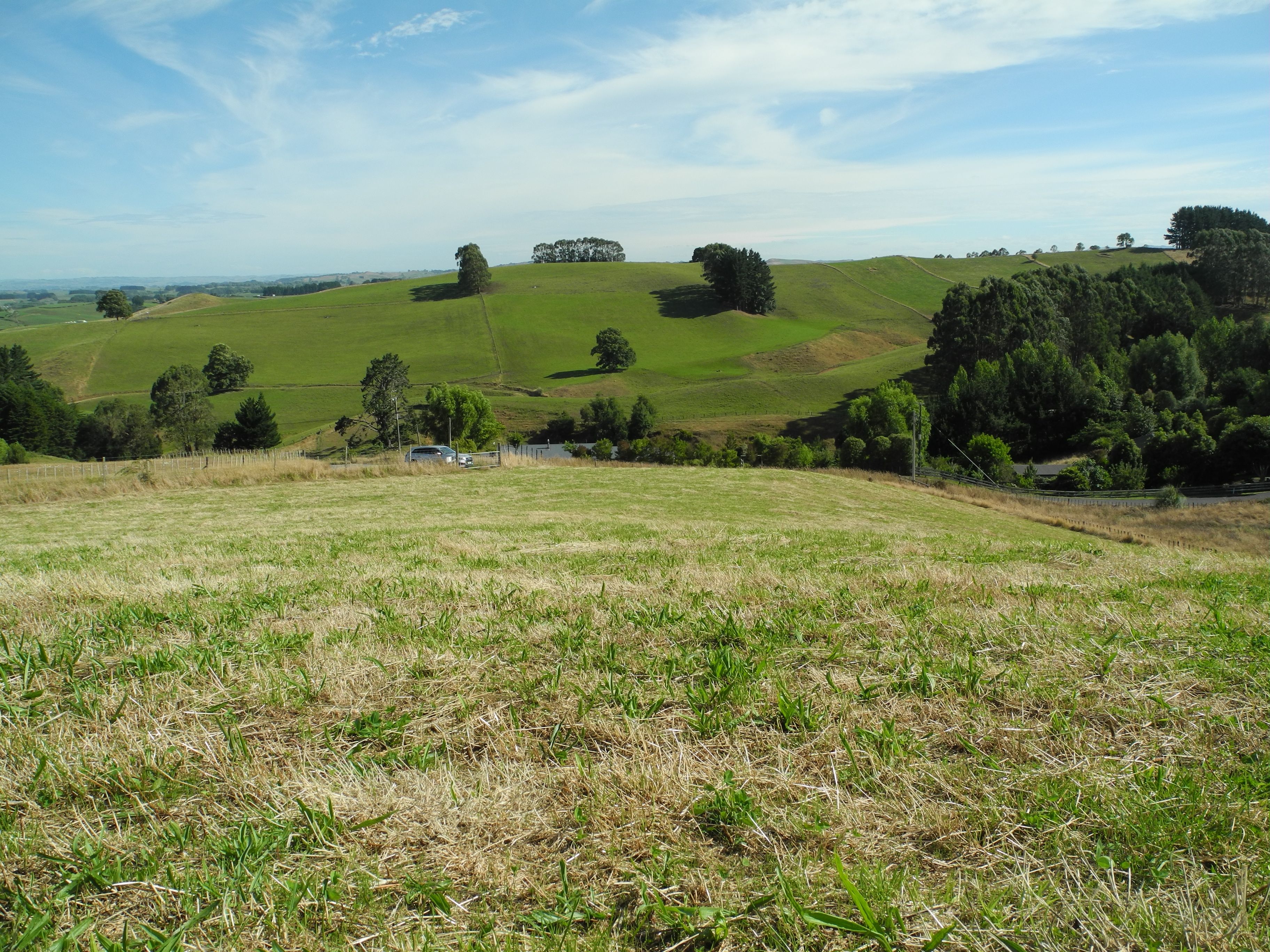 144 Te Tahi Road, Pirongia, Waipa District