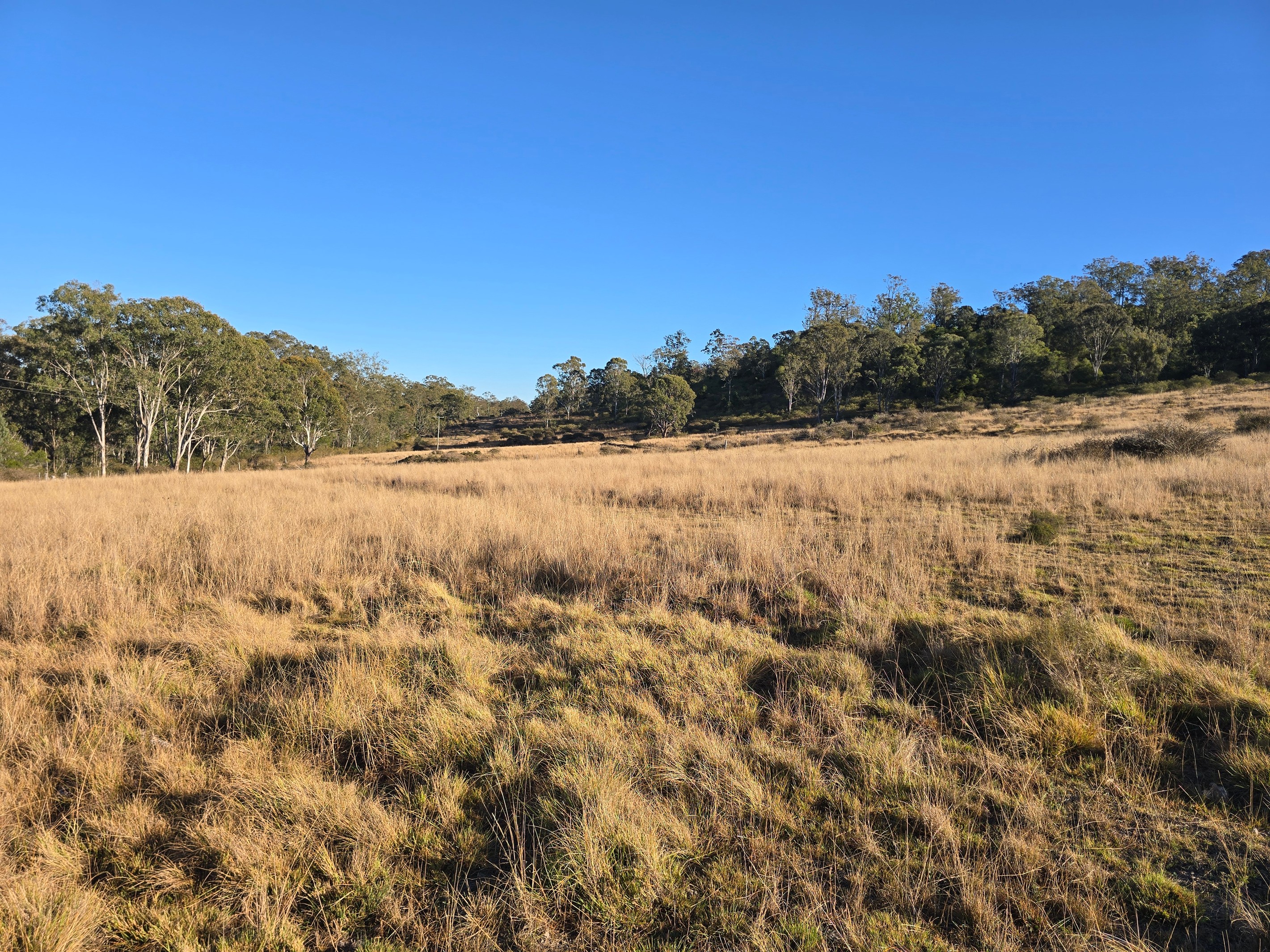 Lot 2 New England Highway, Thornville, QLD 4352