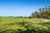 636 Kahikatea Flat Road photo 58
