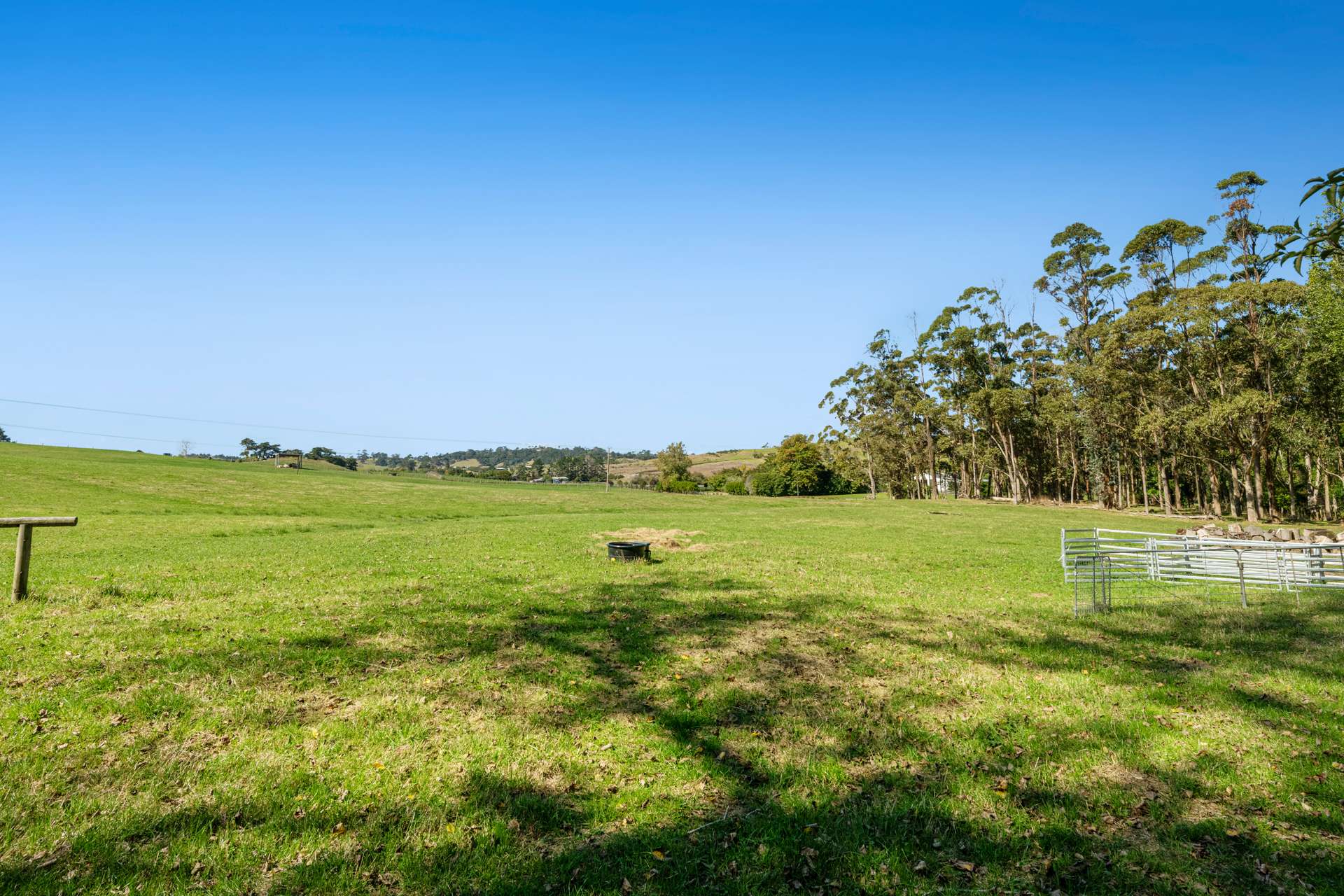 636 Kahikatea Flat Road photo 58