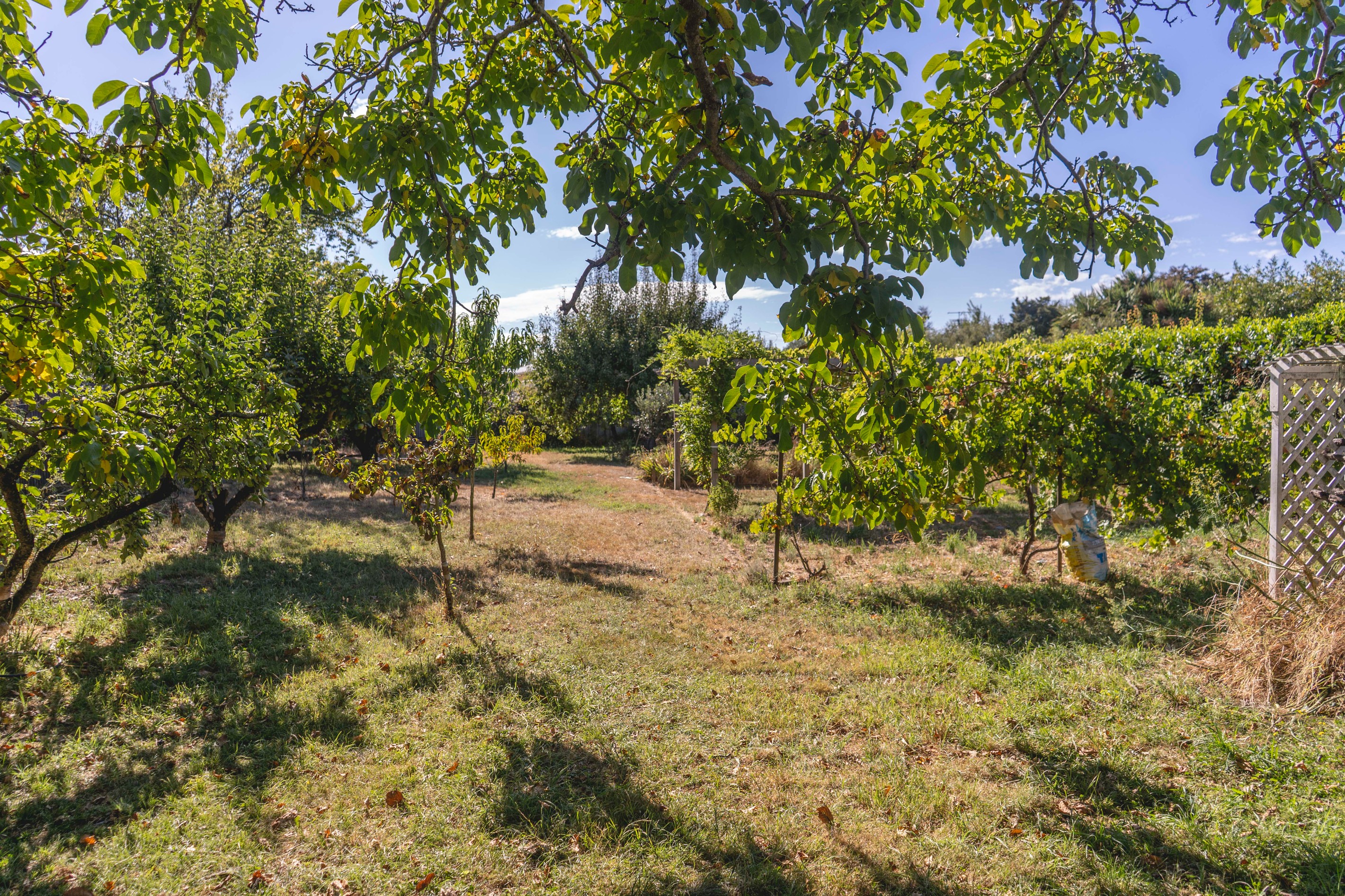 40 Albert Street, Masterton, Masterton District