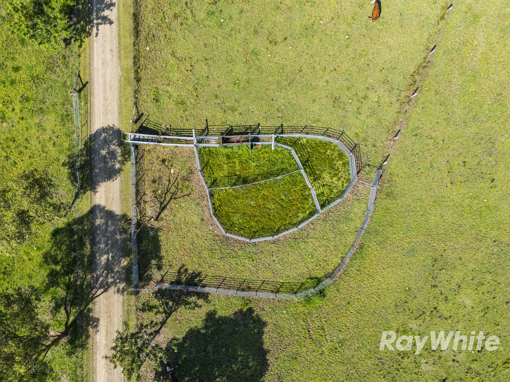 19 Kestevens Road — photo 13 of 18
