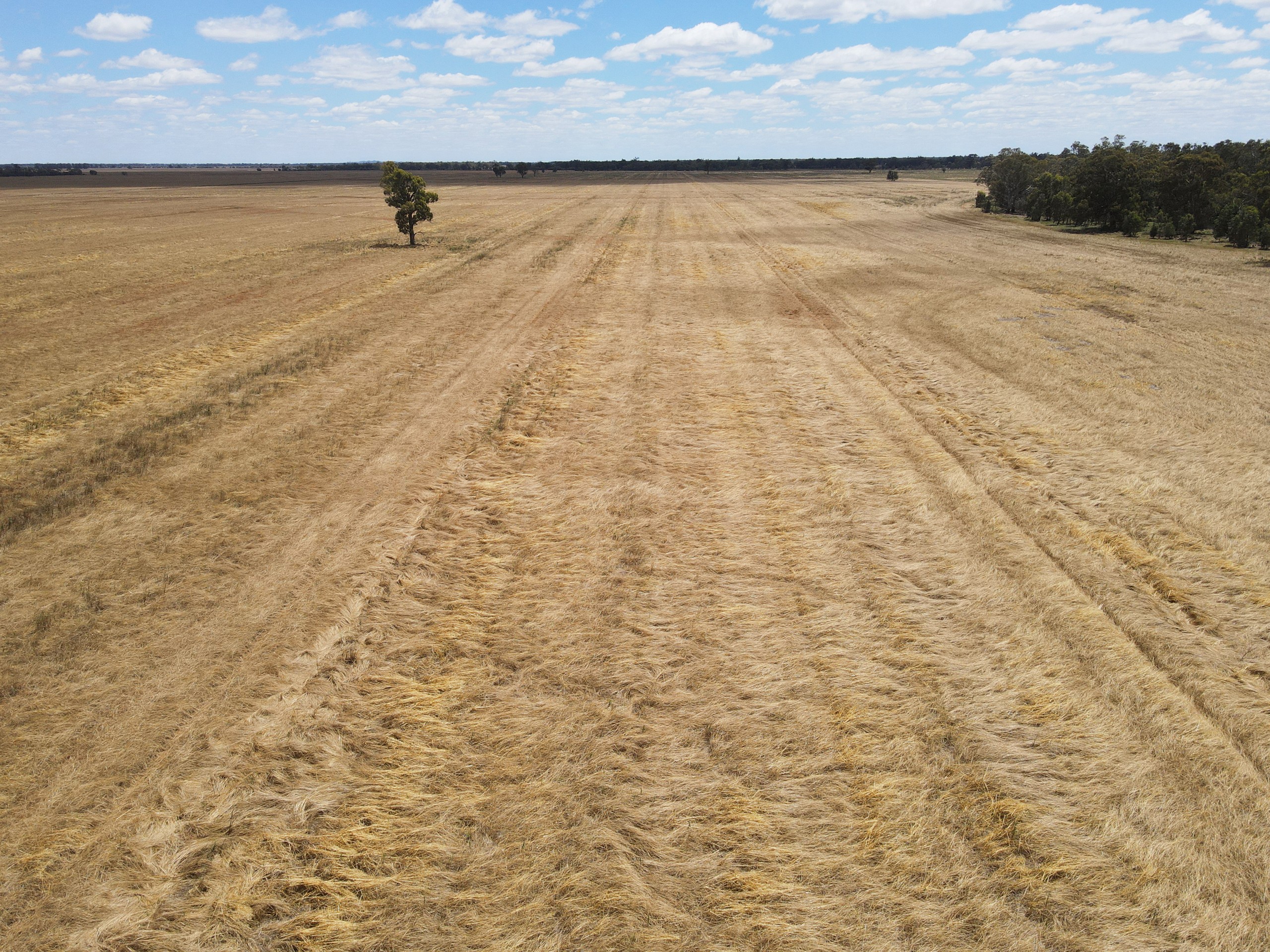 233 Warbilla Road, Barmedman, NSW 2668