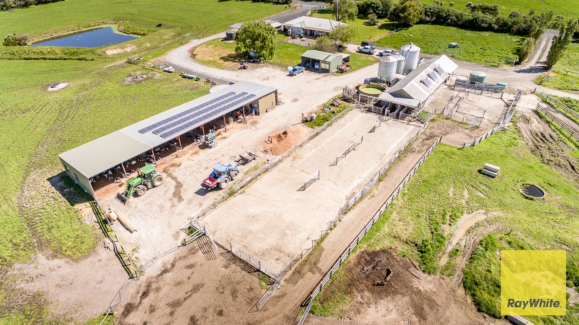 Outstanding Dairy Opportunity — photo 4 of 30