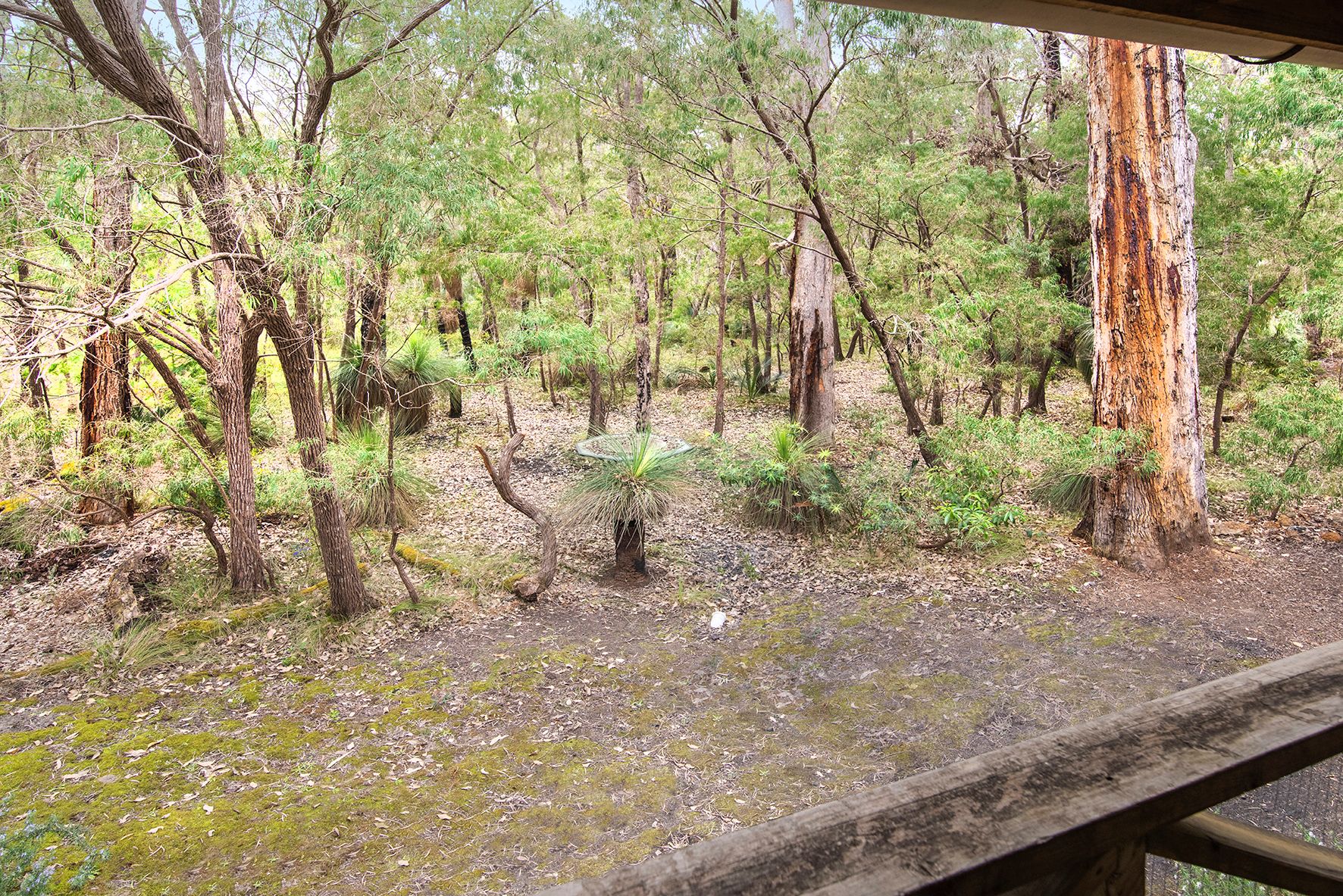 3 Sabina Drive — photo 10 of 13