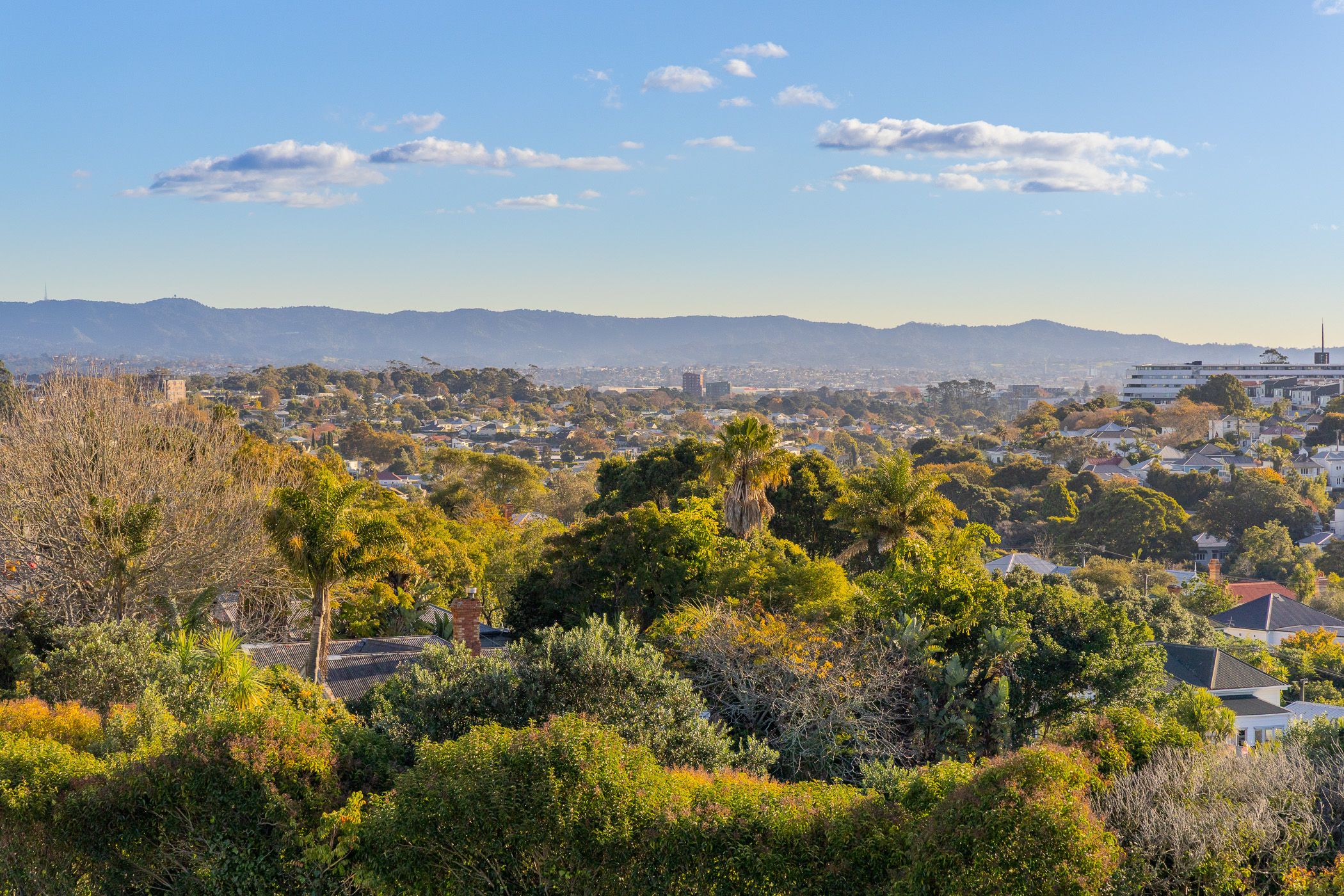 3A/15 Minnie Street, Eden Terrace, Auckland City