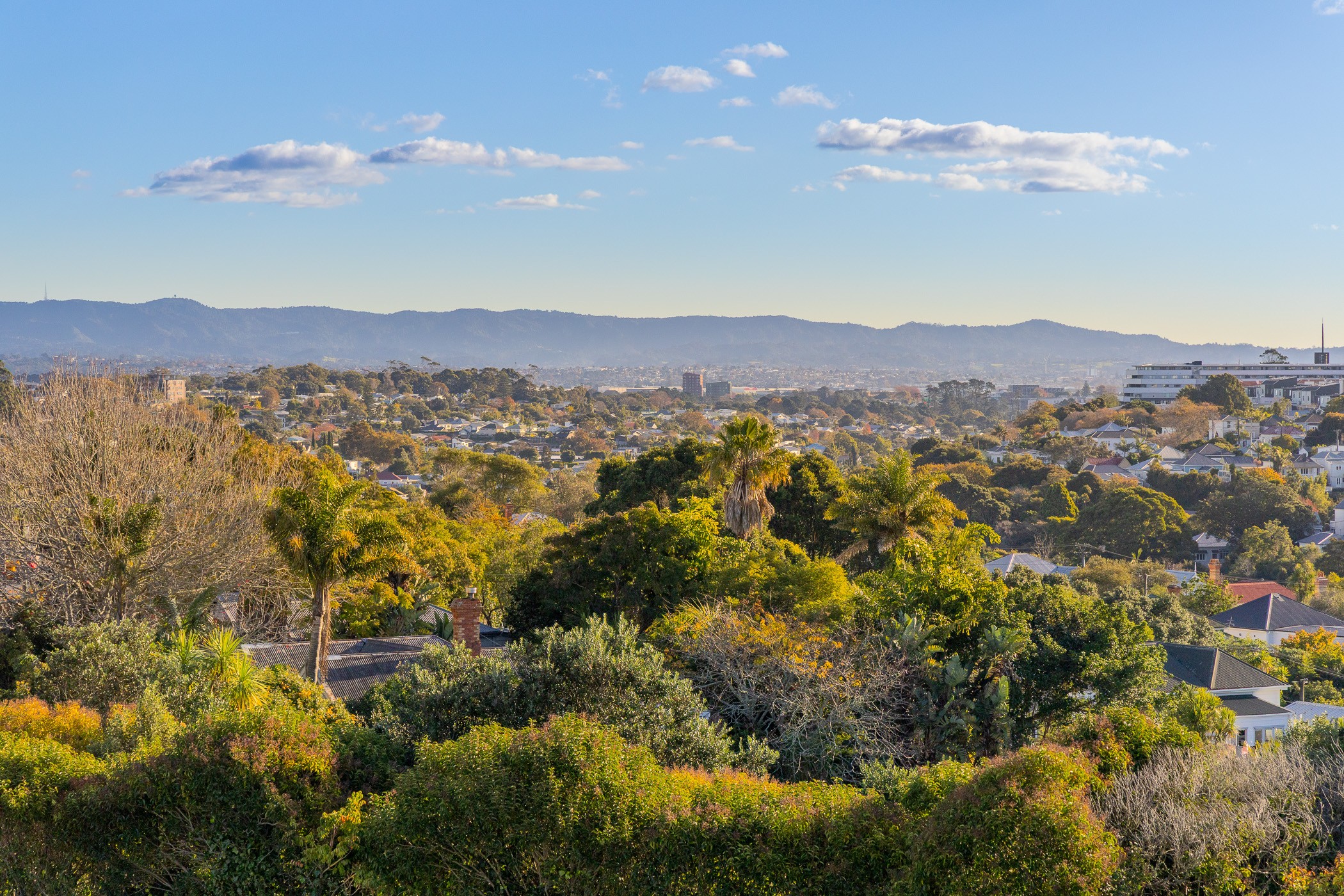 3A/15 Minnie Street, Eden Terrace, Auckland City