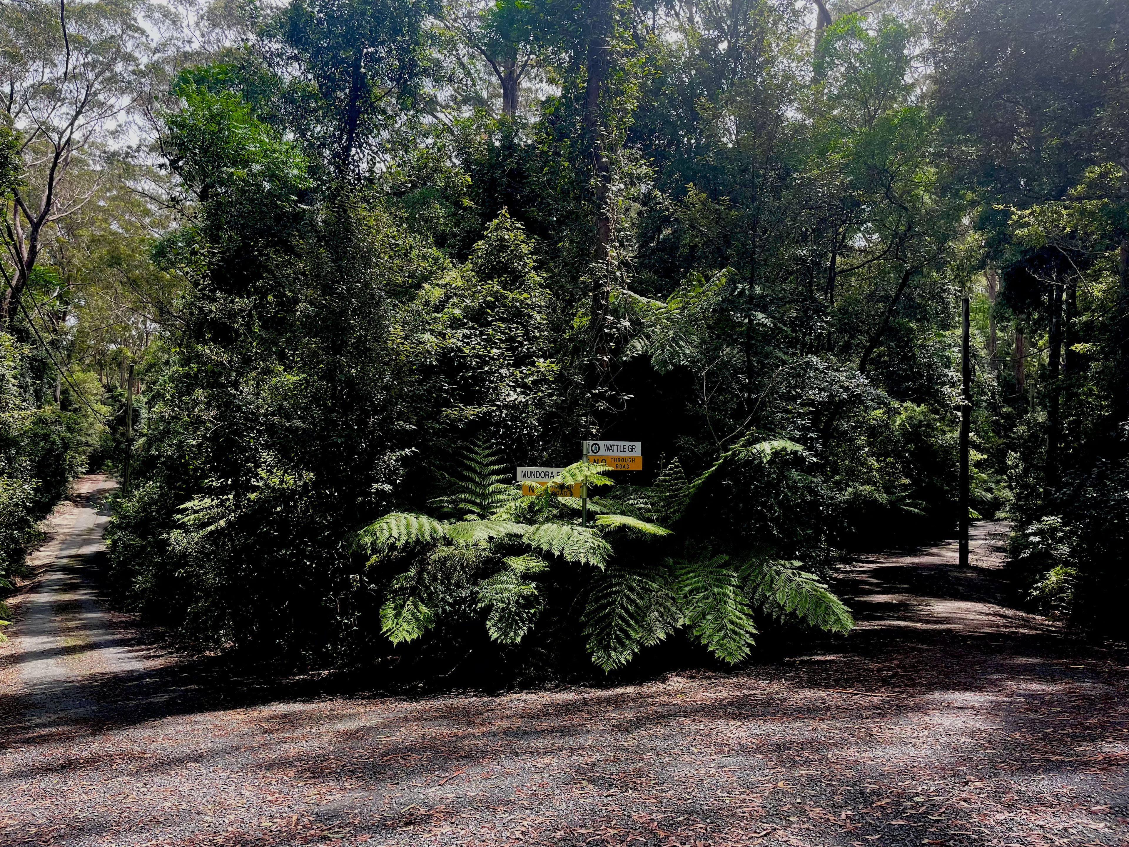 5 Mundora Road, Springbrook, QLD 4213