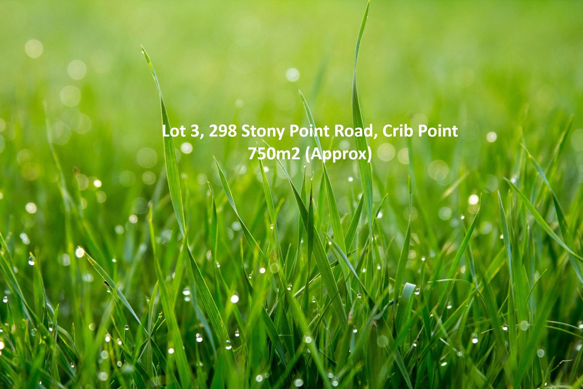 298 Stony Point Road, Crib Point VIC 3919