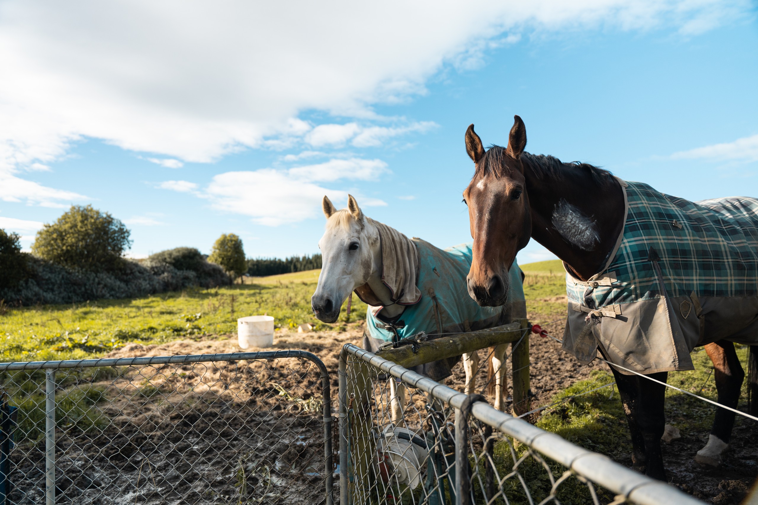 334 Waimahaka Fortification Road, Waimahaka, Southland District