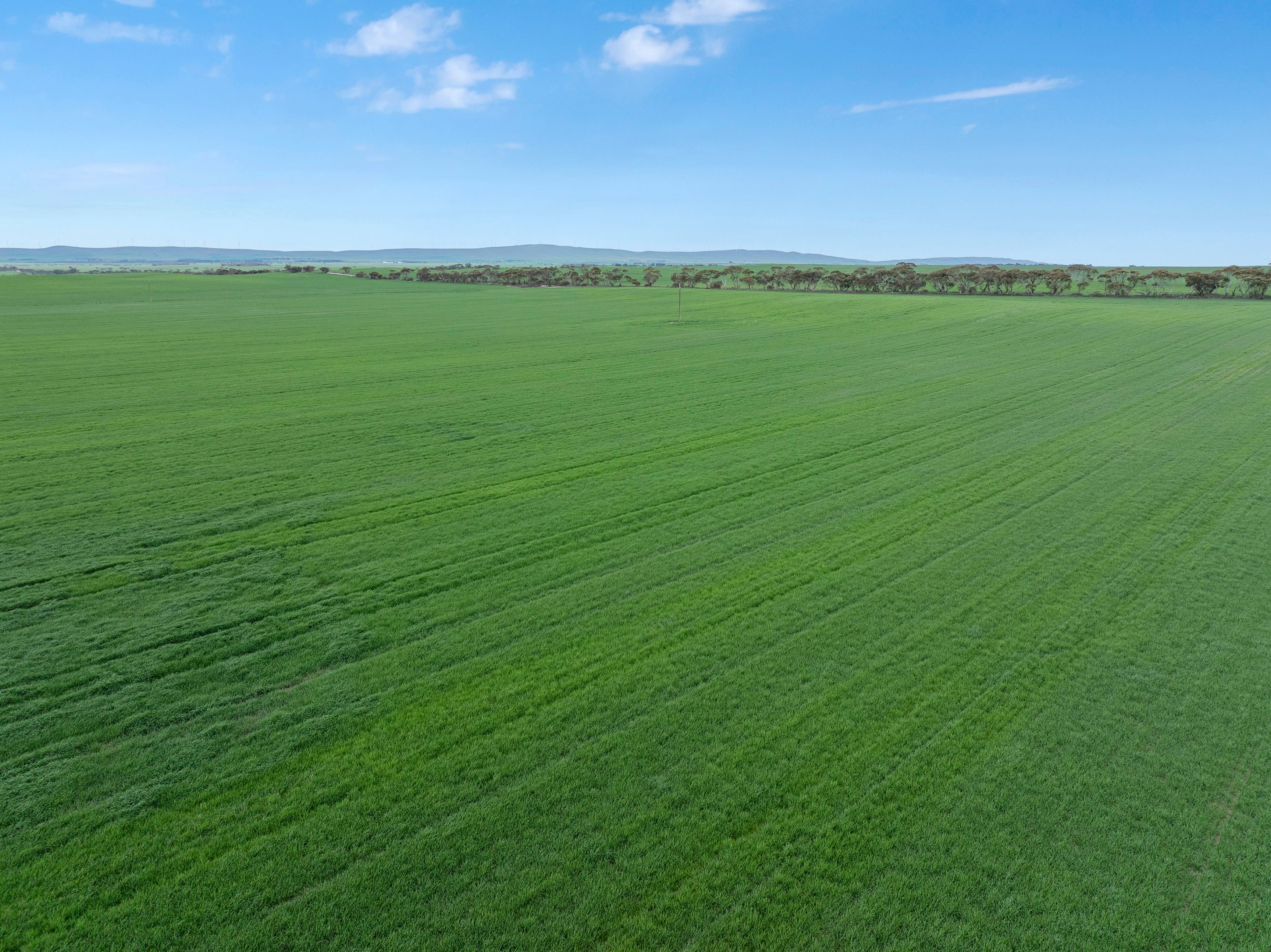 'Philby's' Garfield Road, Port Broughton, SA 5522