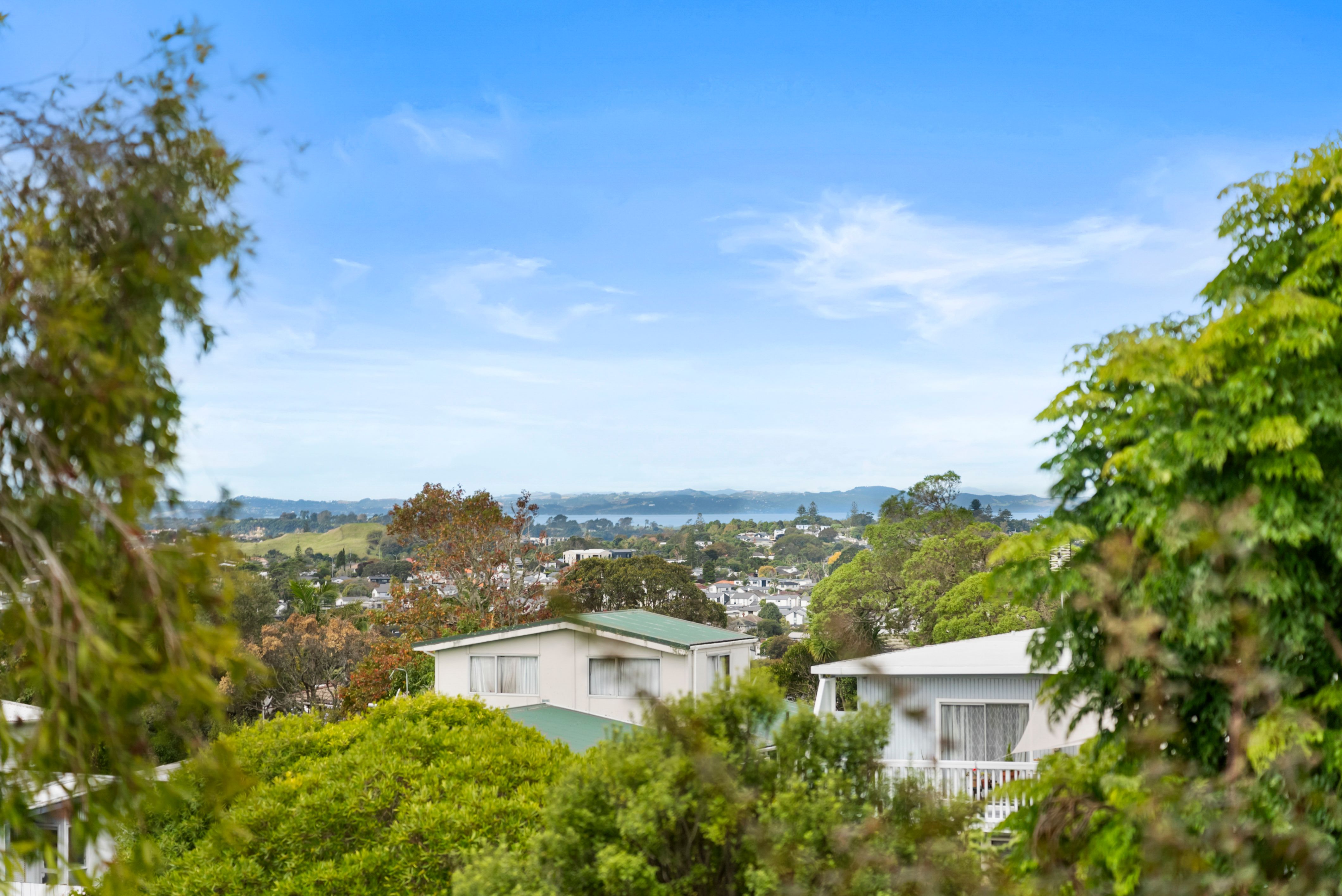 45/49 Simkin Avenue, St Johns, Auckland City 1050 Sold House Ray