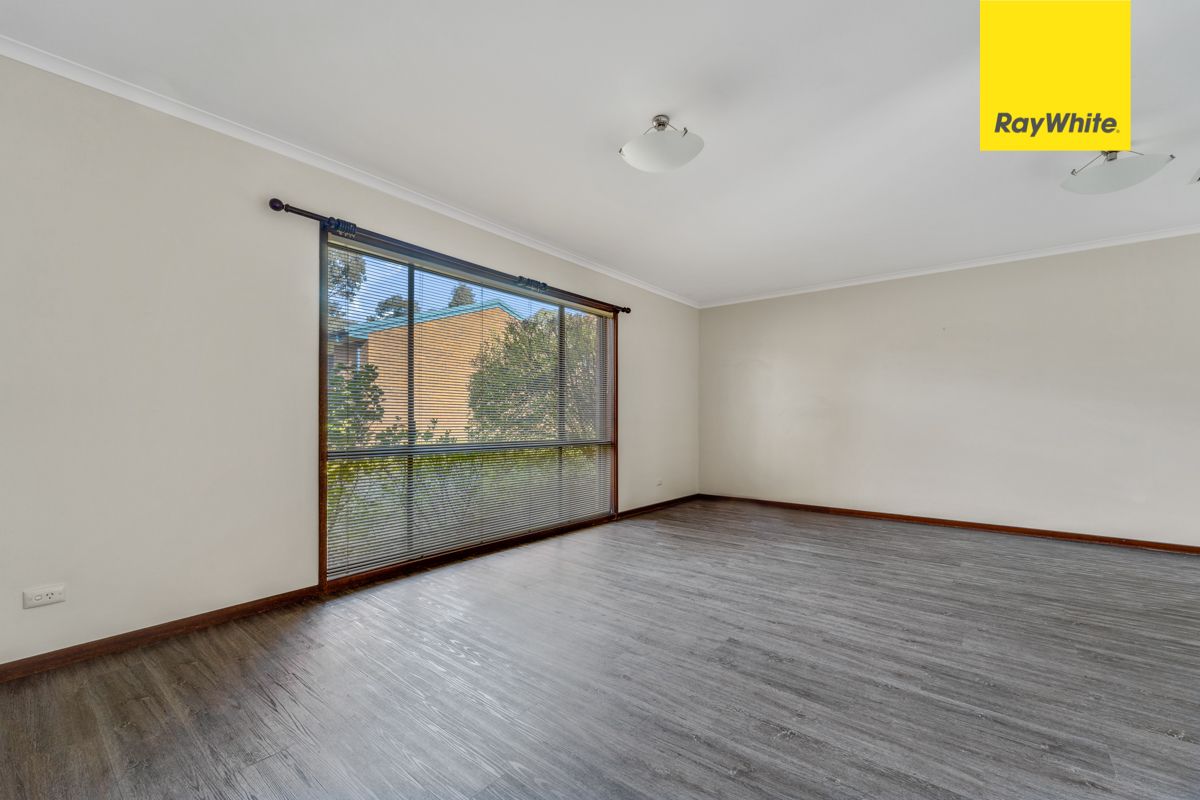 5/41 Jinka Street, Hawker, ACT 2614