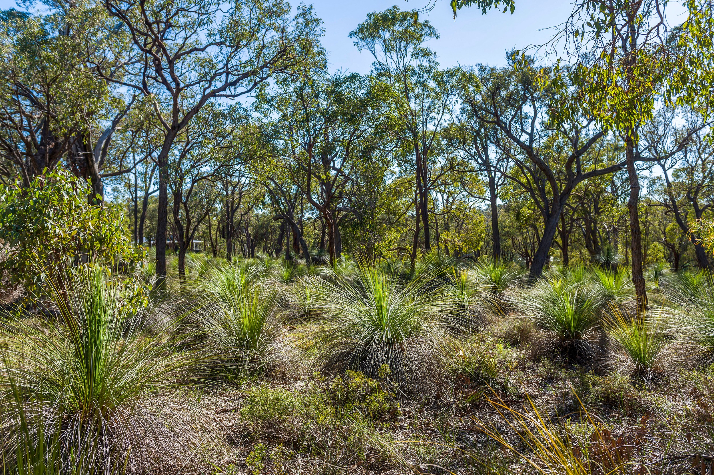 45 Guernsey Rise, Lower Chittering, WA 6084