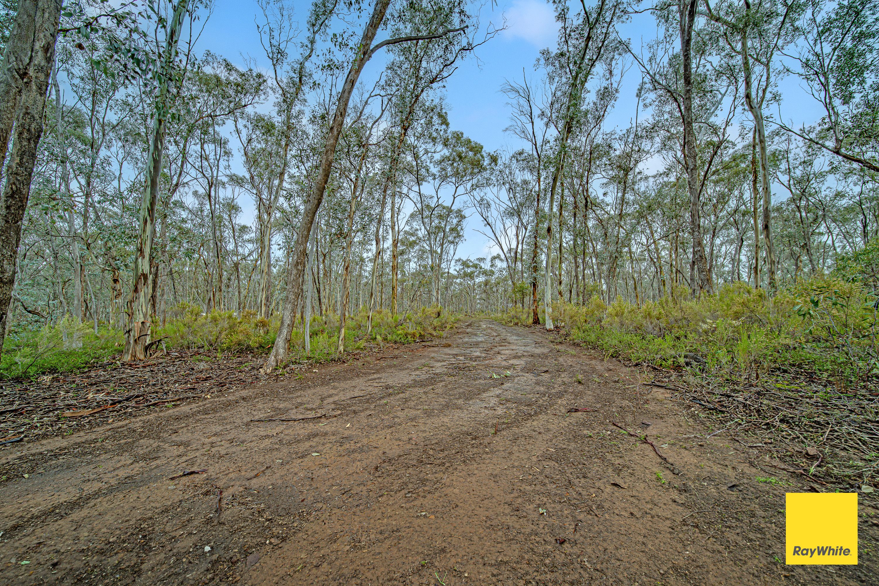 50 Melaleuca Avenue — photo 5 of 9