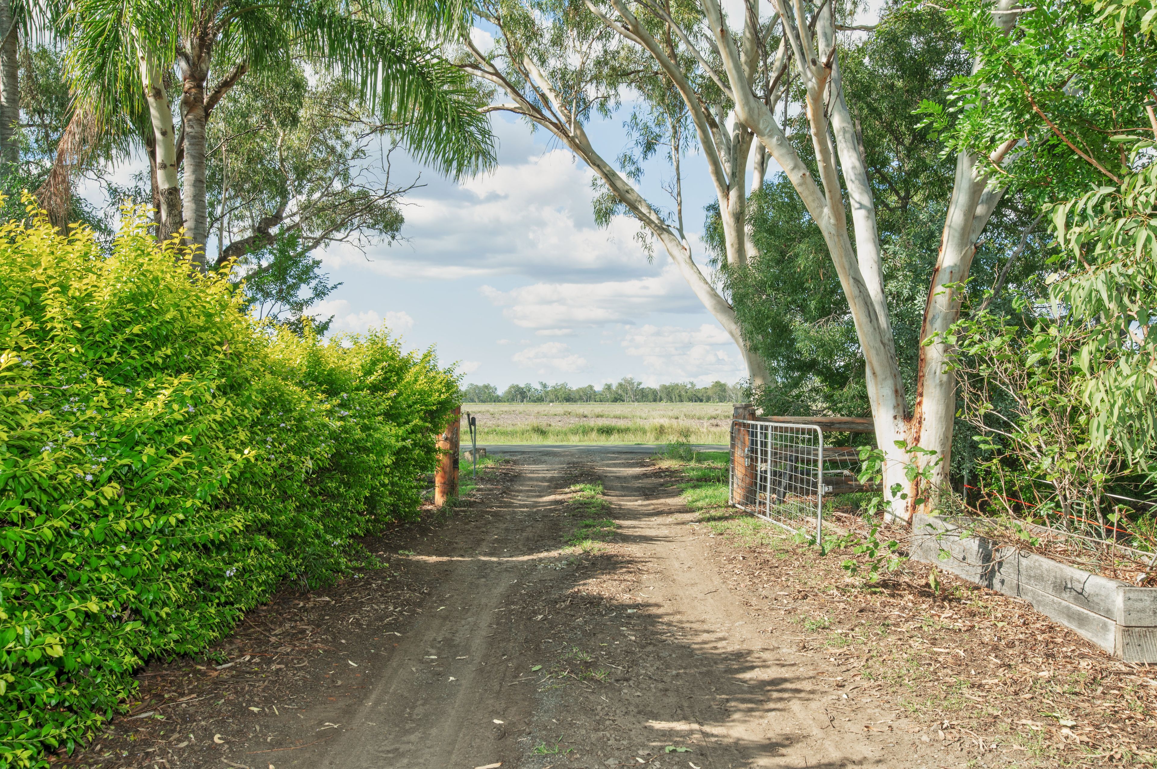 1126 Meissners Road, Thangool, QLD 4716