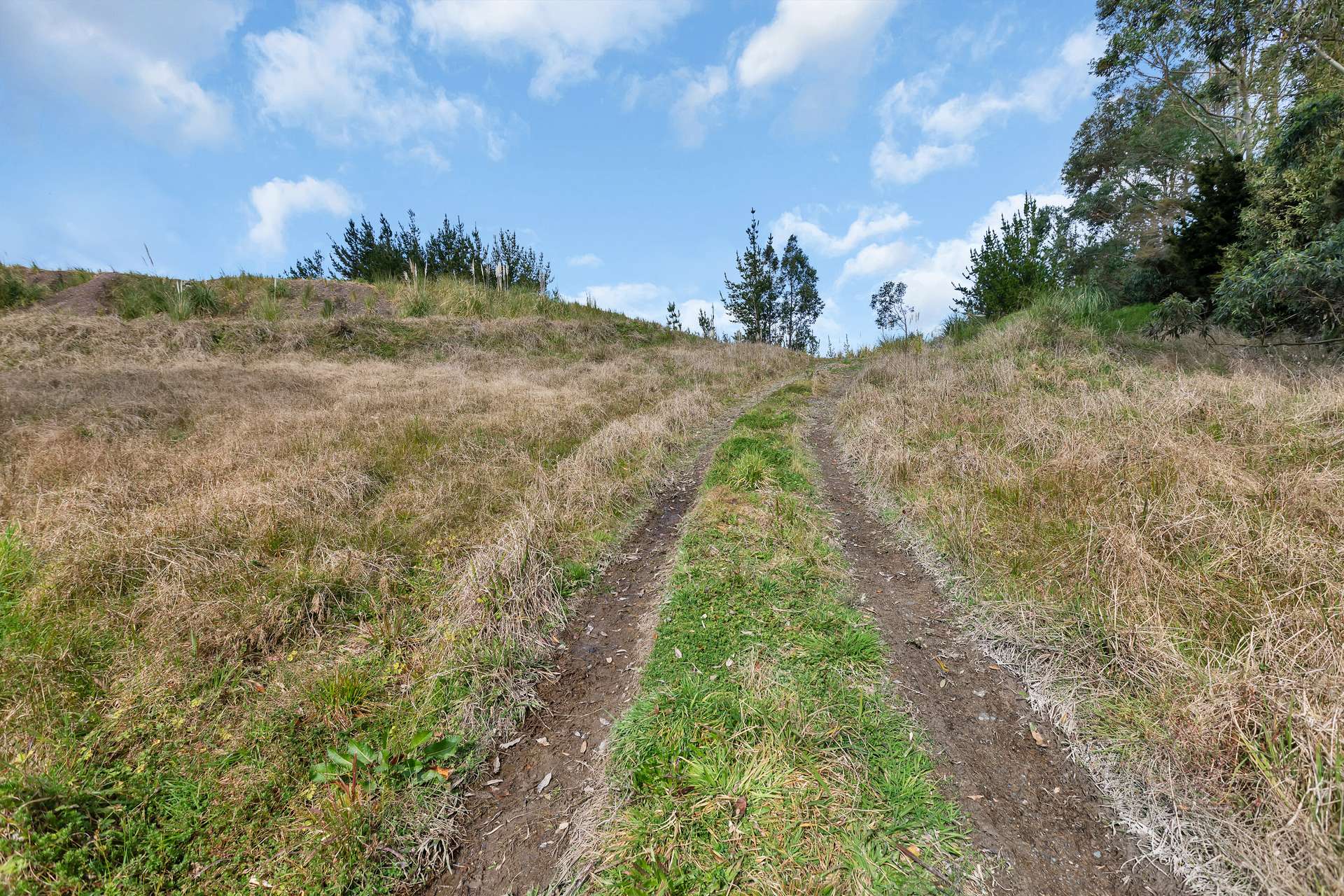 420A Whareora Road photo 3