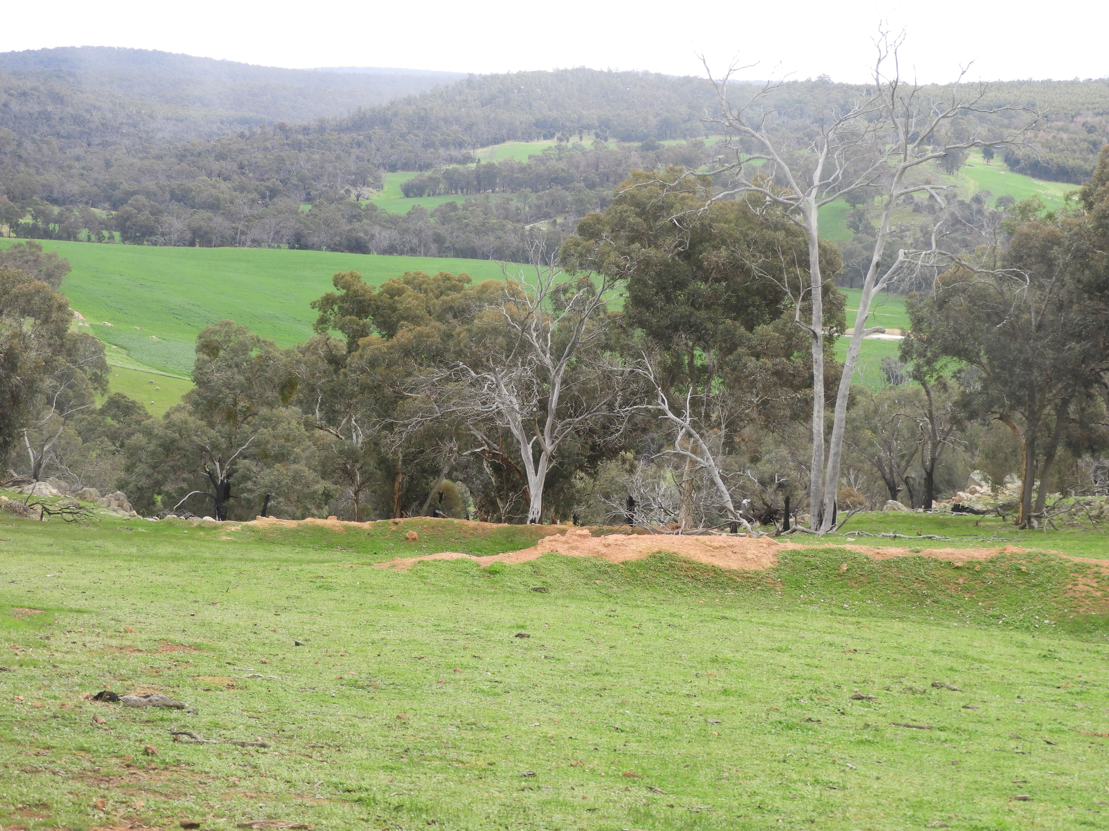 Kyellen Farm, Quindanning-Darkan Road — photo 13 of 30