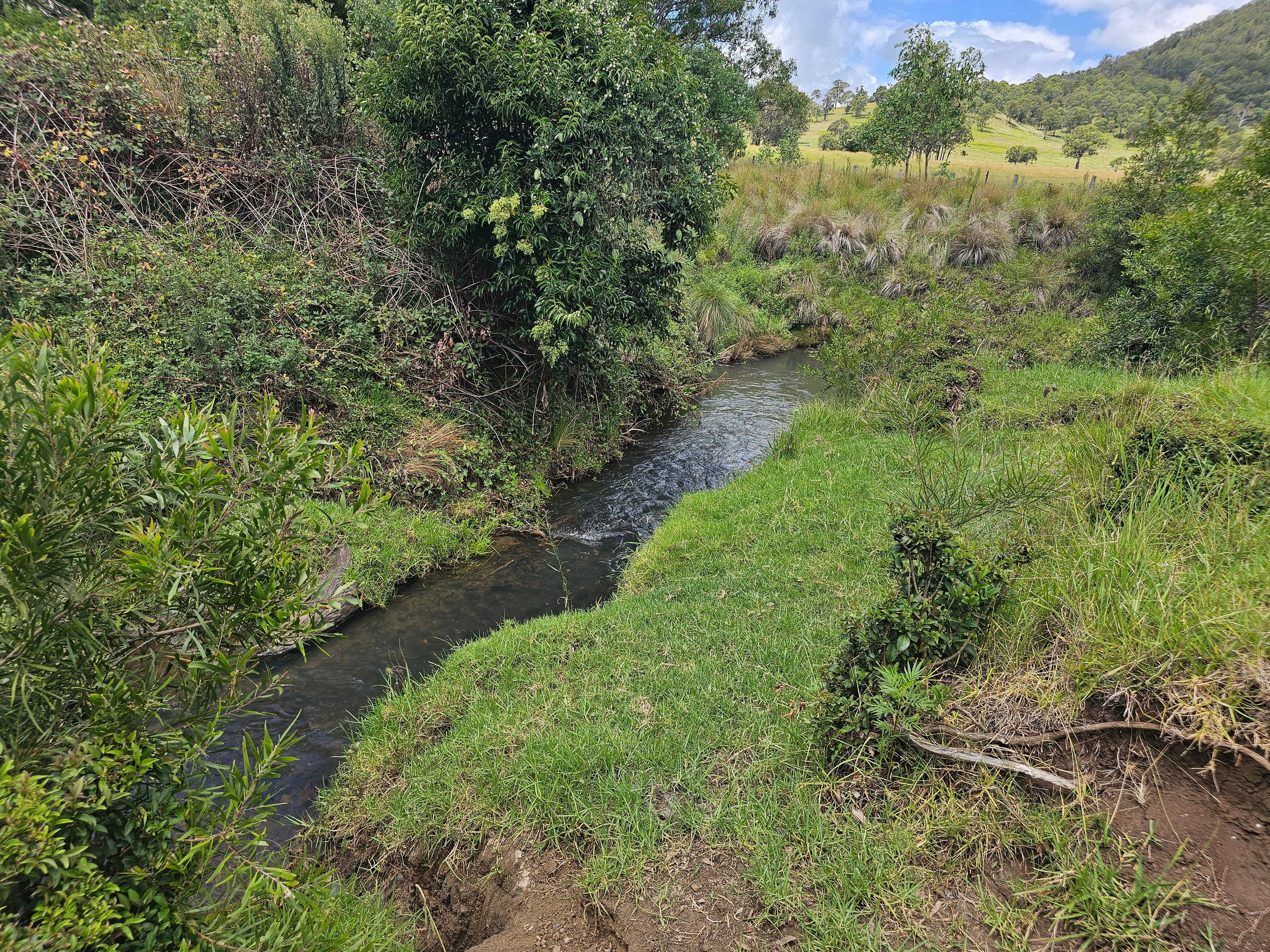 177 Killarney Road, Legume, NSW 2476