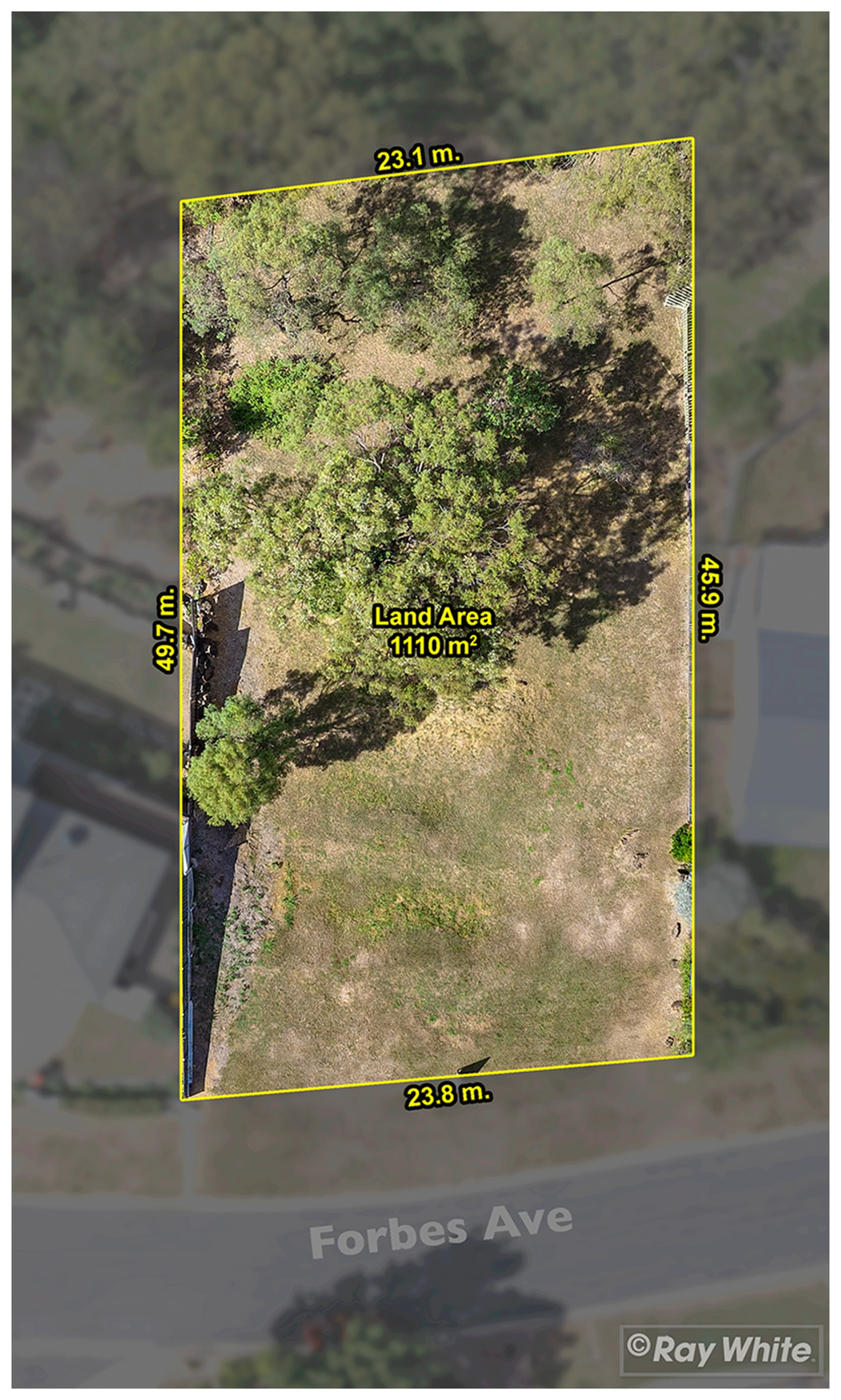 50 Forbes Avenue, Frenchville, QLD 4701