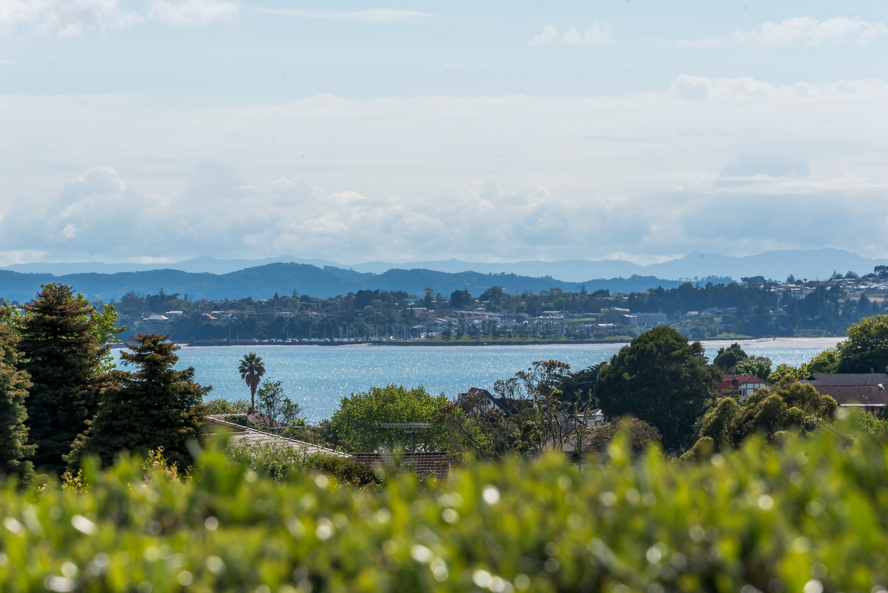 30 Trelawn Place, Cockle Bay, Manukau City