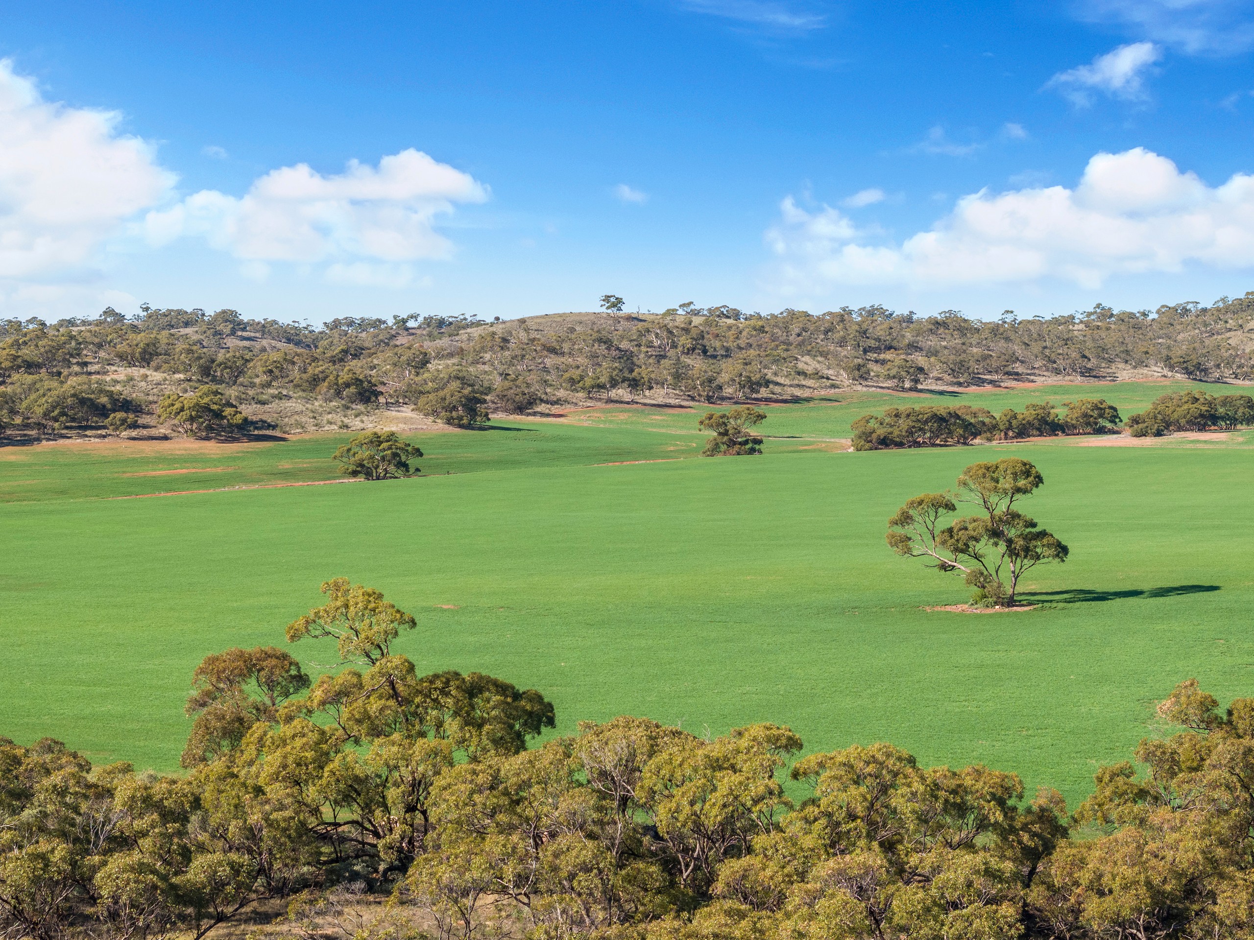 'Gum View Hills' Gorge Road, Pekina, SA 5431