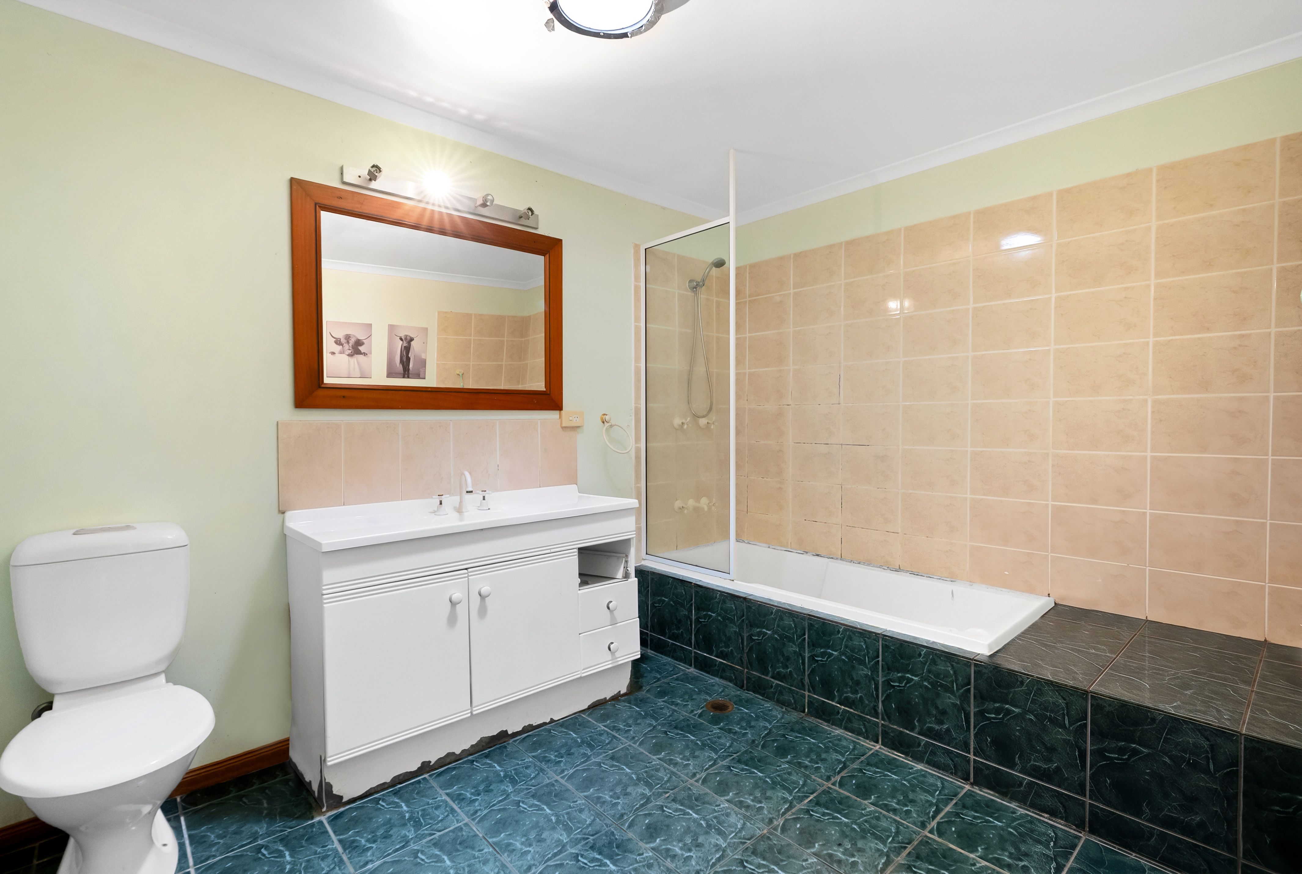 12 Dandaloo Street — photo 9 of 17