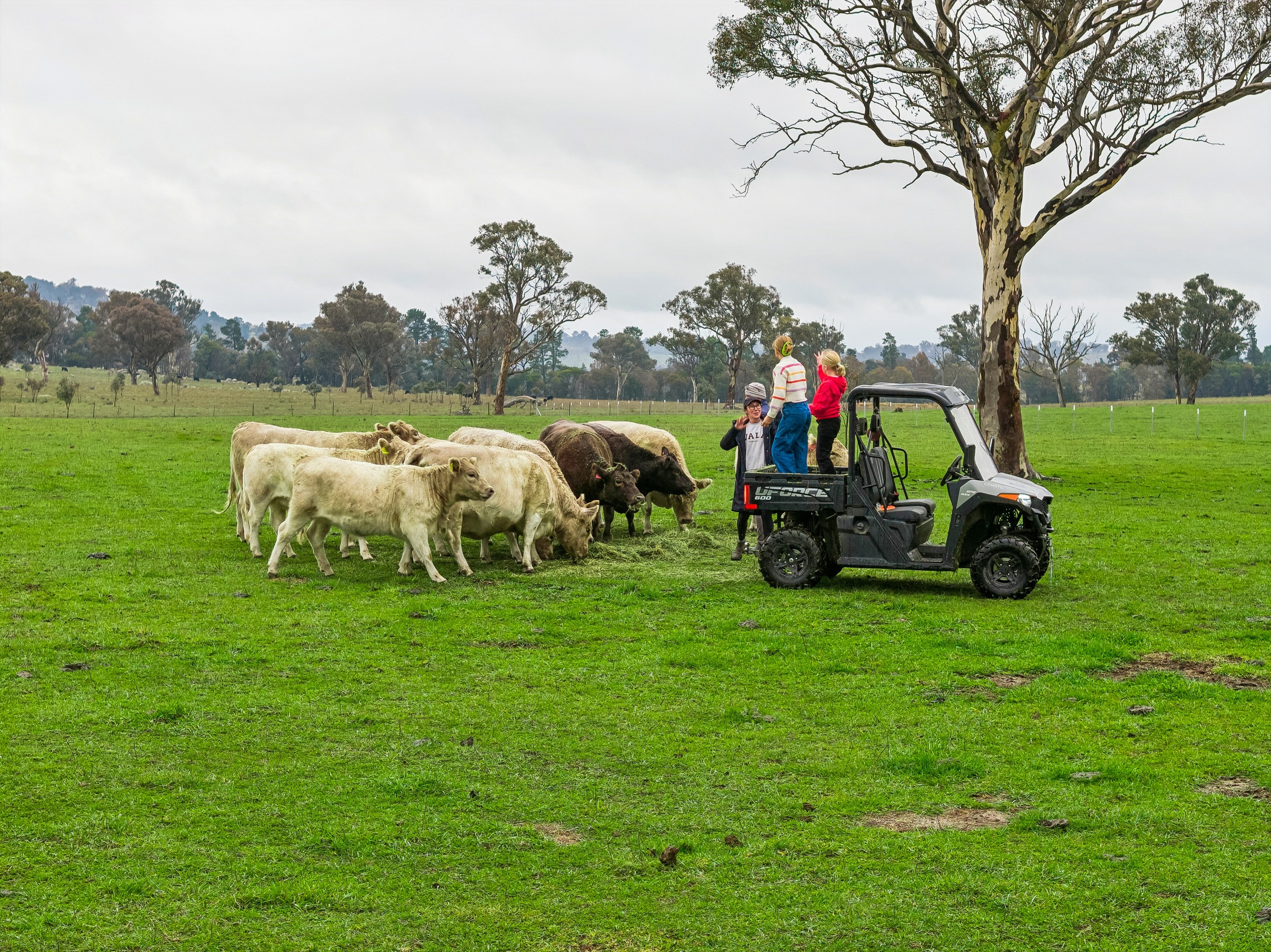 'Smithfield', 266 Gooda Creek Road, Murrumbateman, NSW 2582