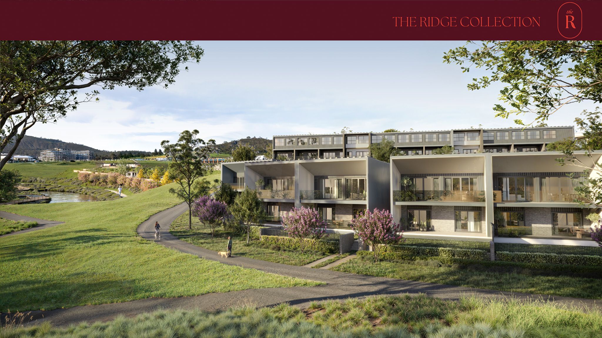 Edition 116 | Type G - Duplex — photo from Ray White Canberra