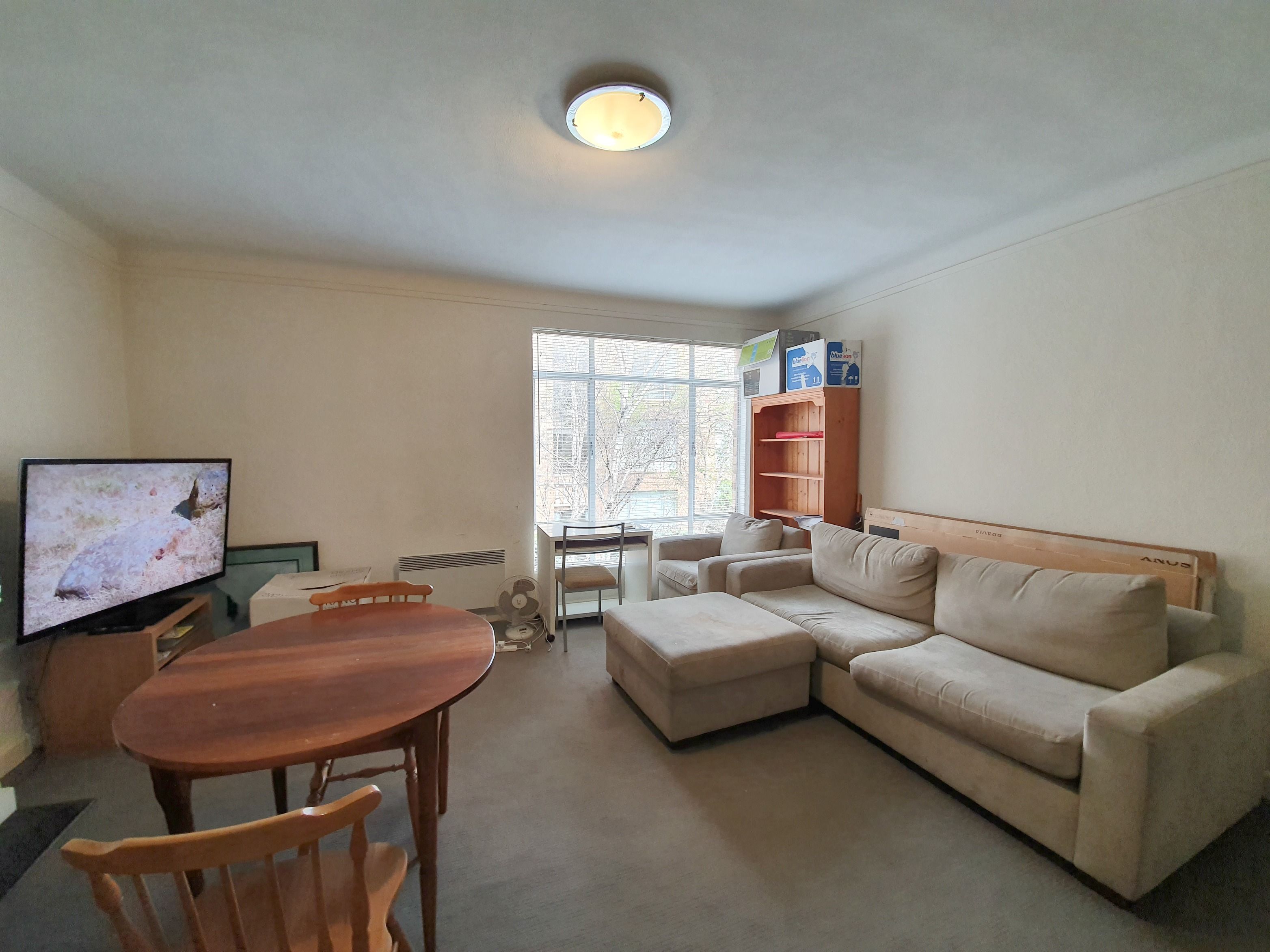 8/8 Louise Street, Melbourne, VIC 3004