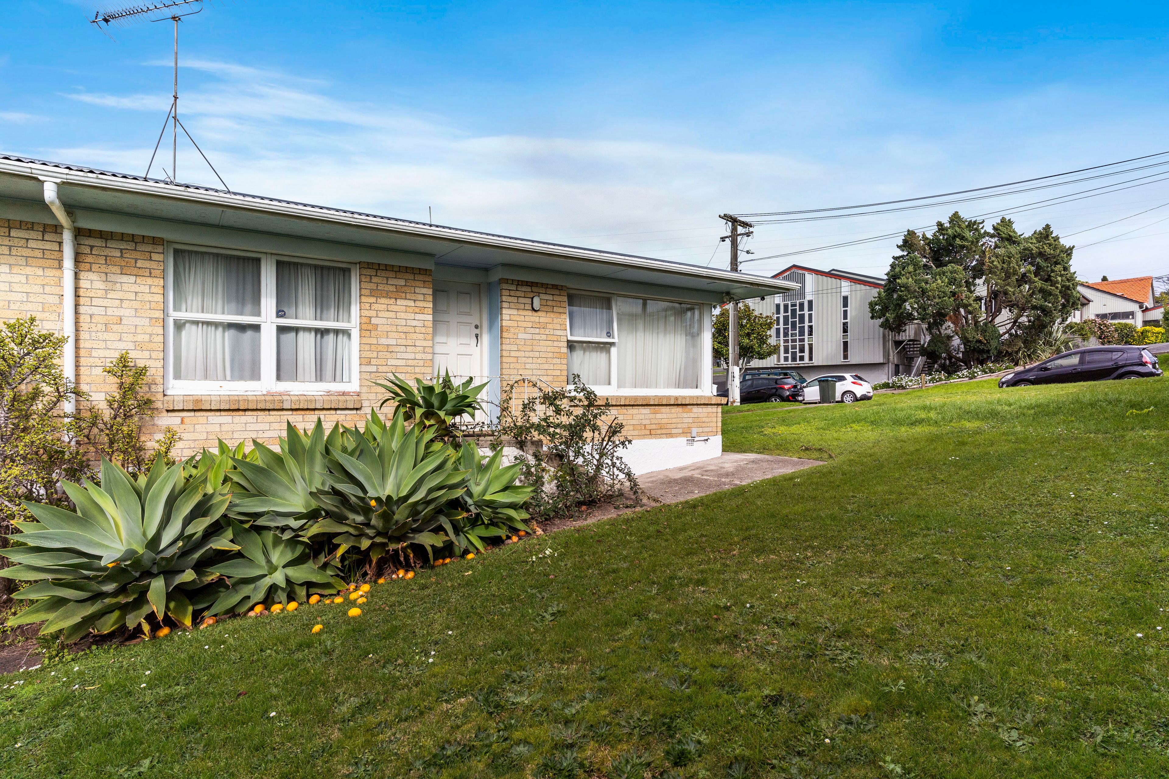 1/3 Currie Avenue, Hillsborough, Auckland City