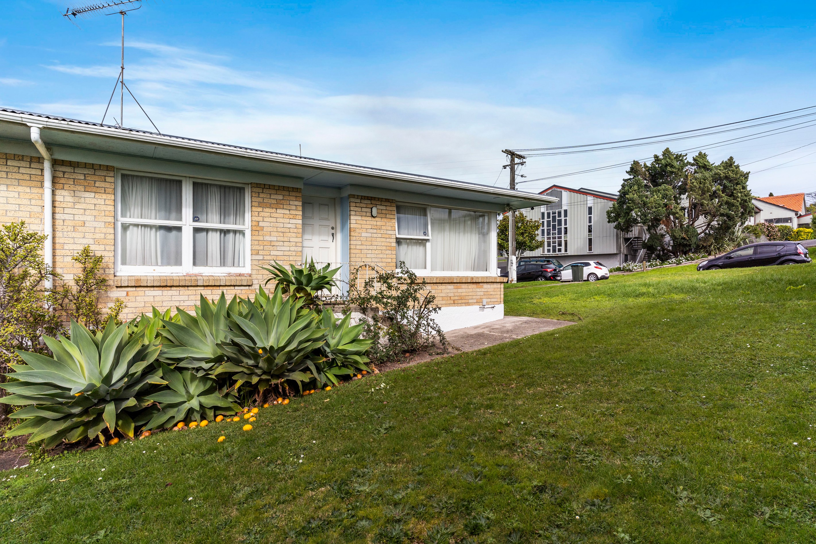 1/3 Currie Avenue, Hillsborough, Auckland City
