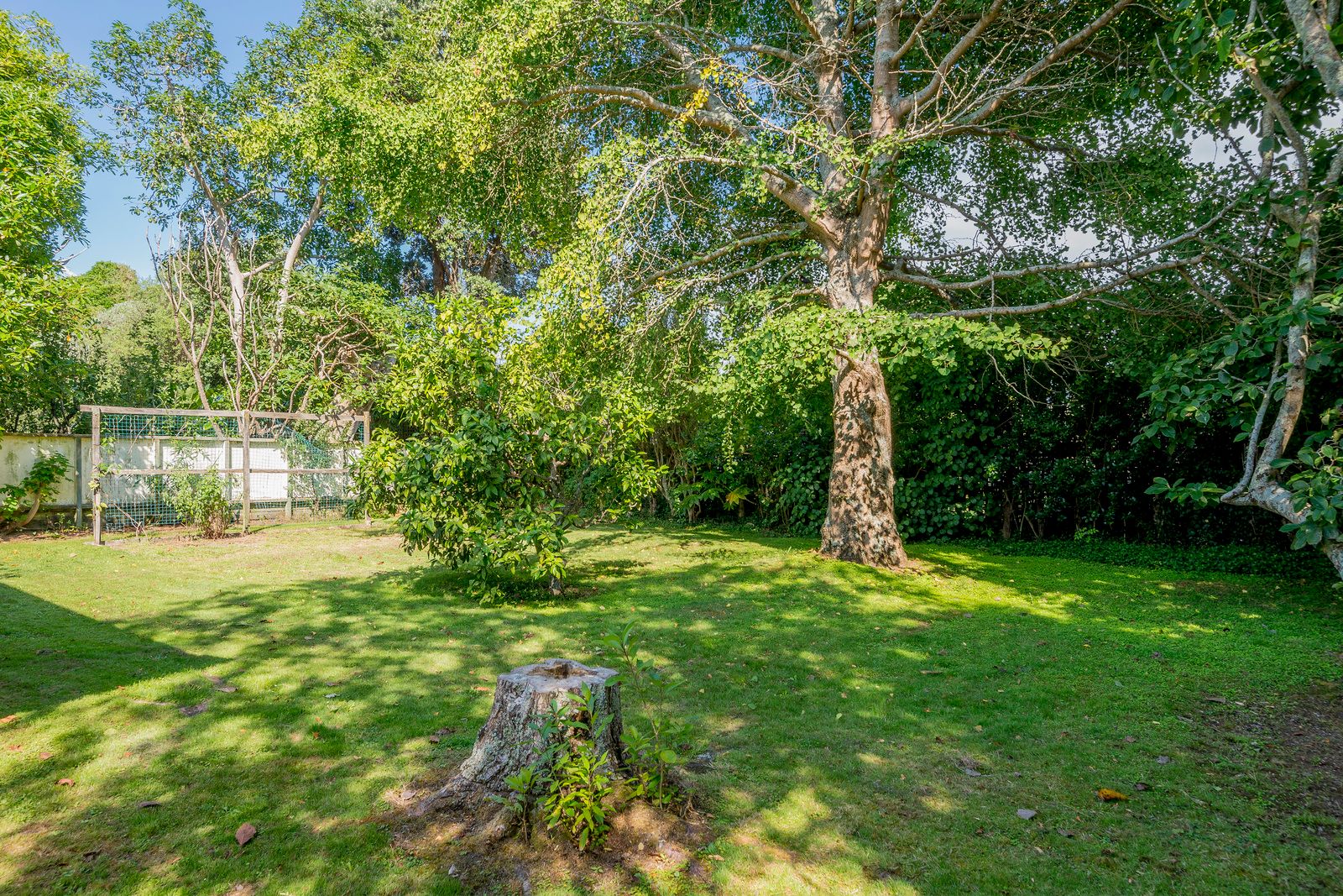 93 Amohia Street, Paraparaumu, Kapiti Coast District