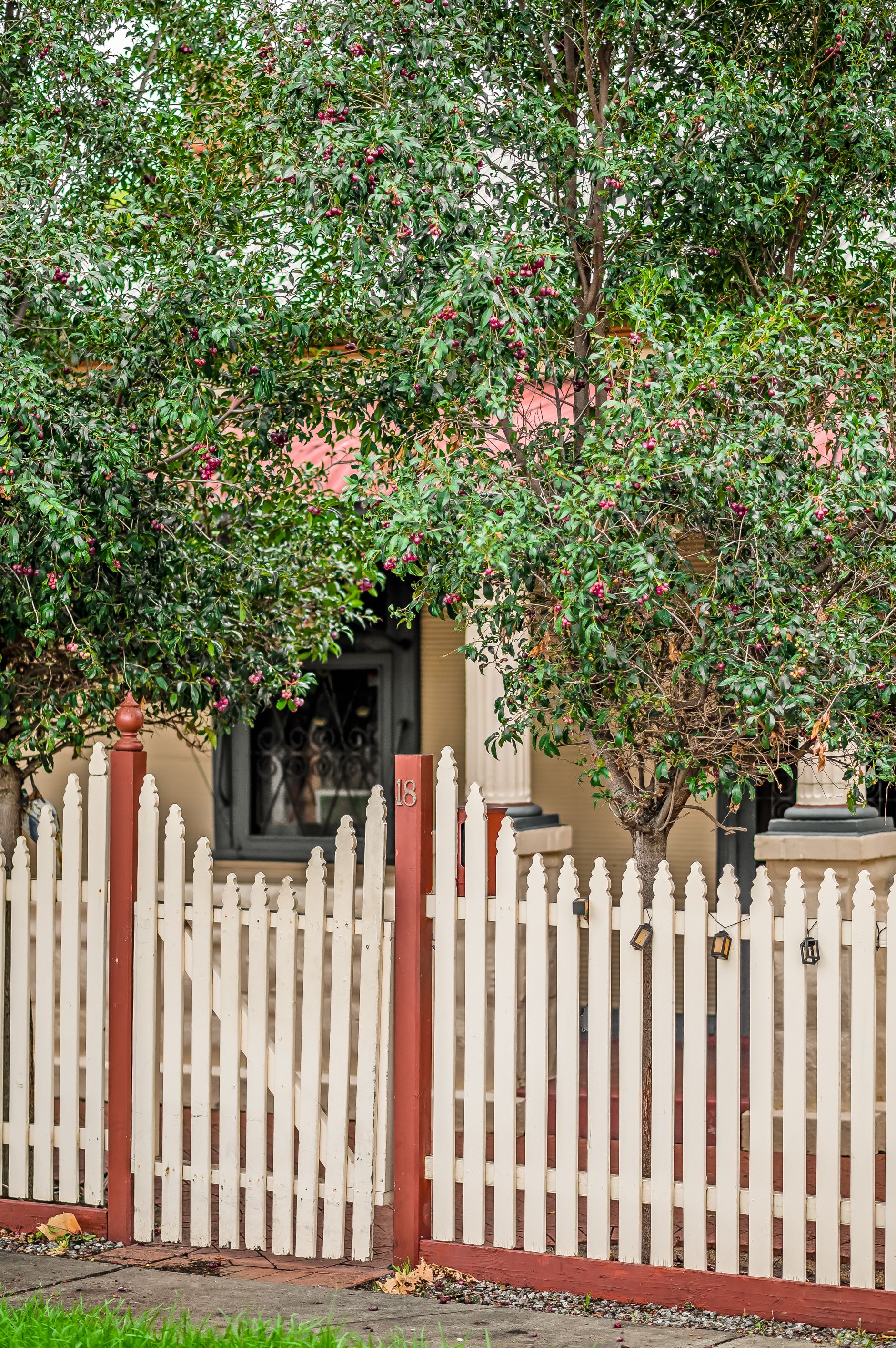 18 Rosetta Street, Glanville, SA 5015