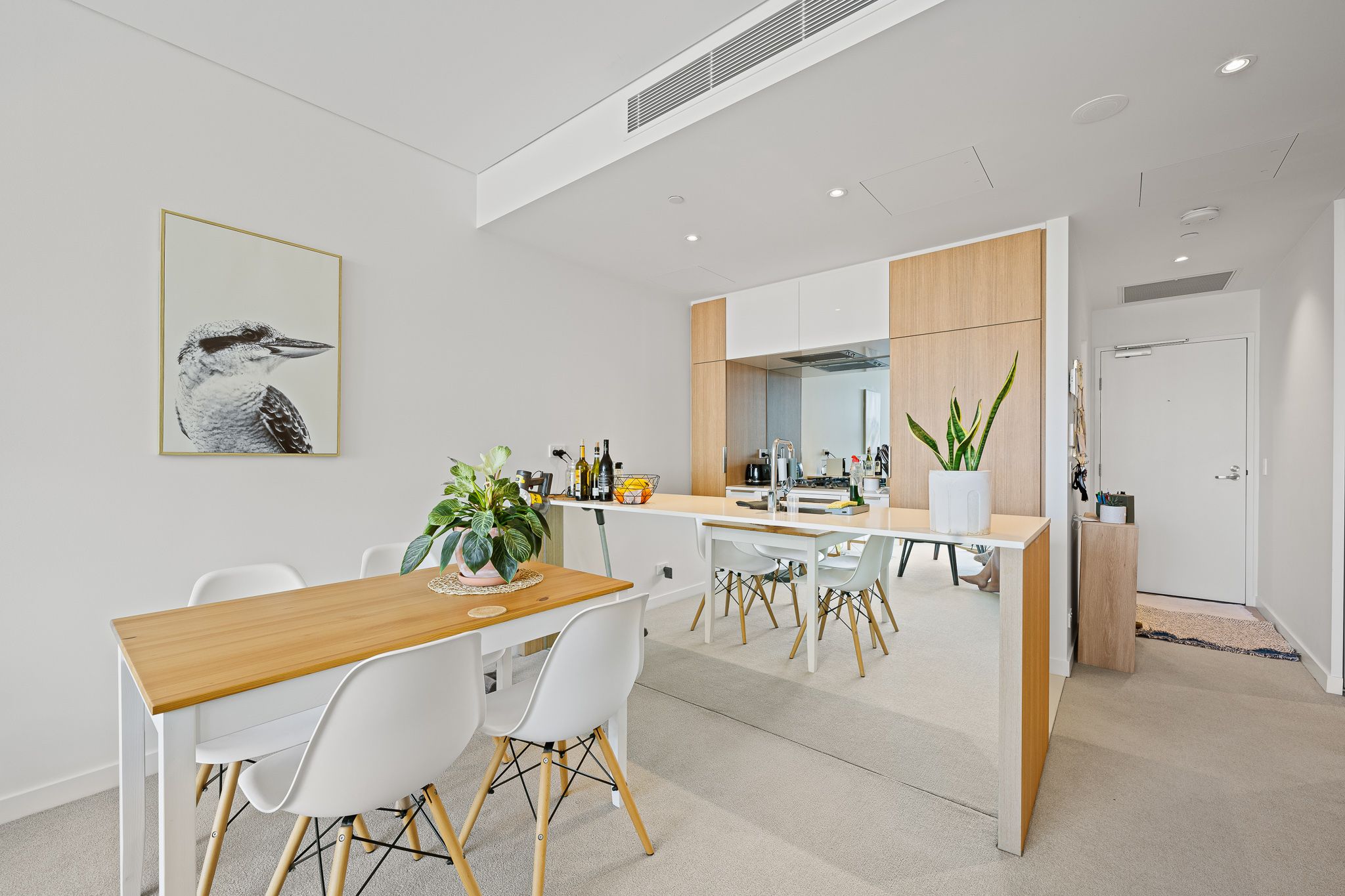 607/20 O'Dea Avenue, Waterloo, NSW 2017