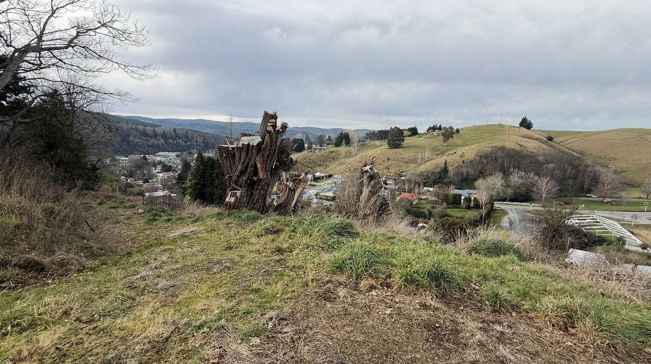 5-7 Rea Street, Lawrence, Clutha District