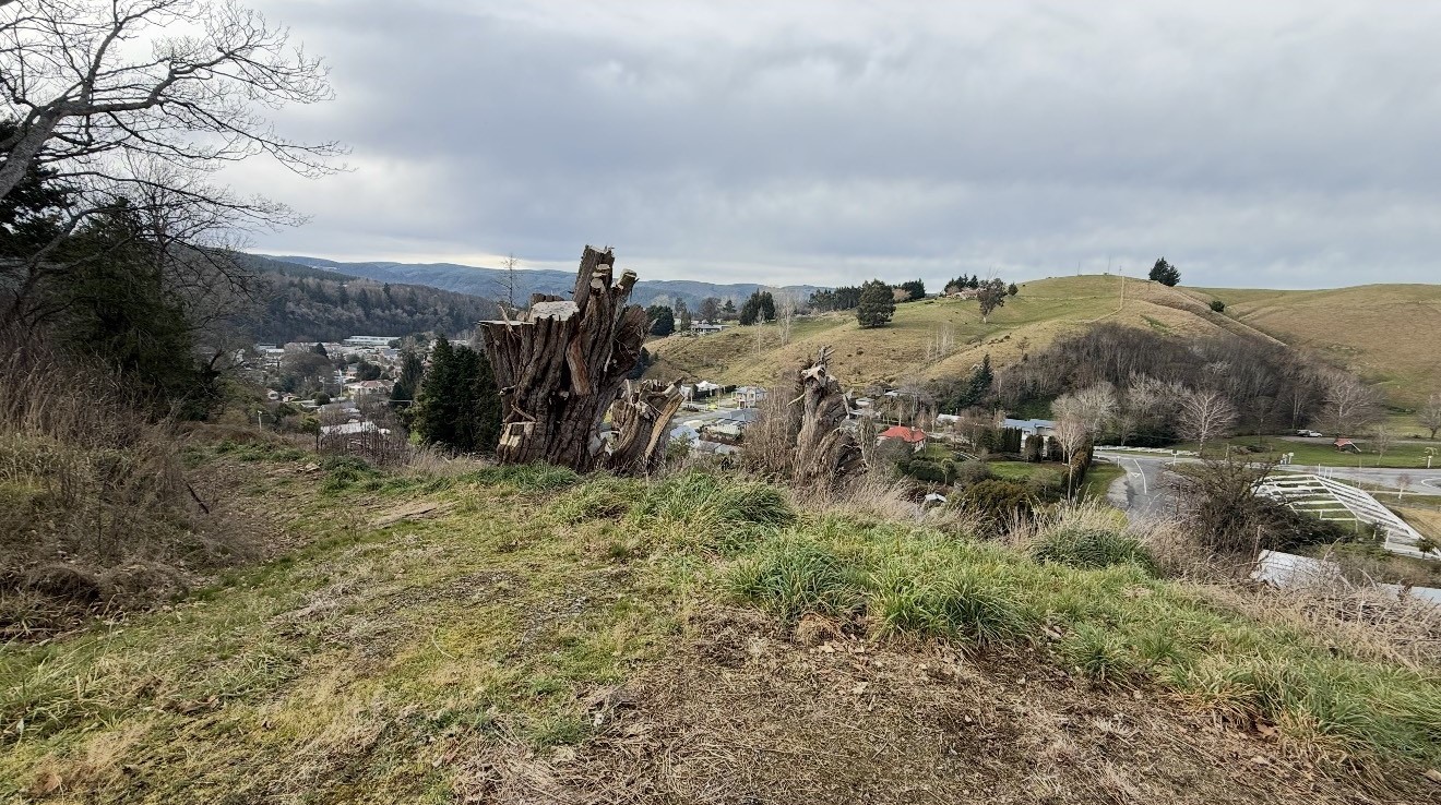 5-7 Rea Street, Lawrence, Clutha District