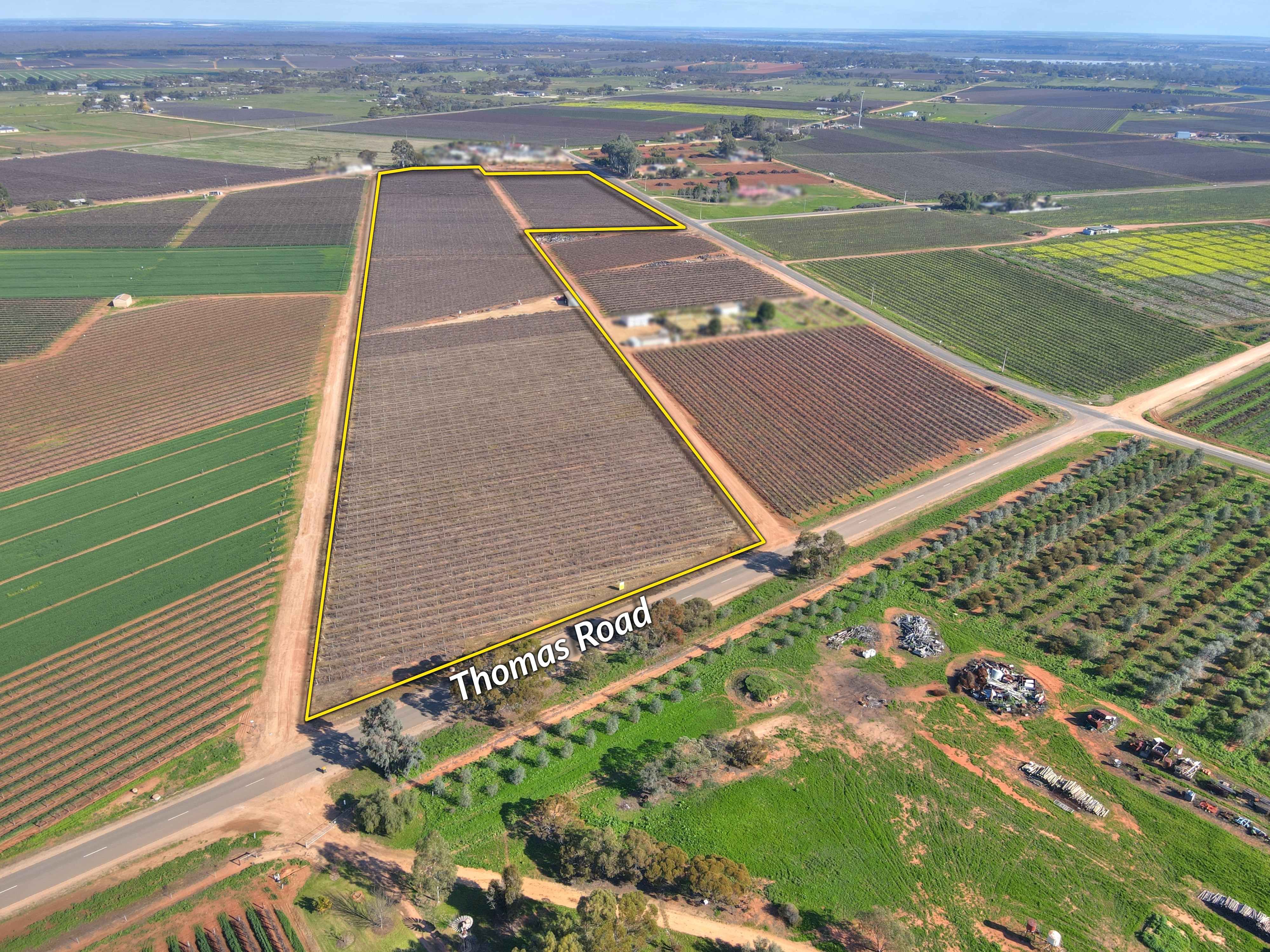 Lot 32 Thomas Road, Barmera, SA 5345