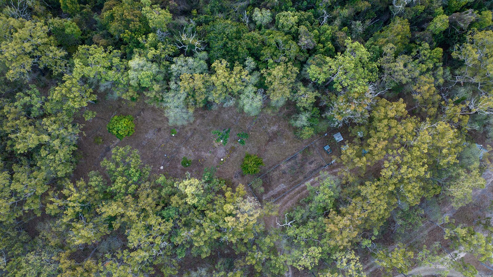619 Murphy Road — photo 30 of 30