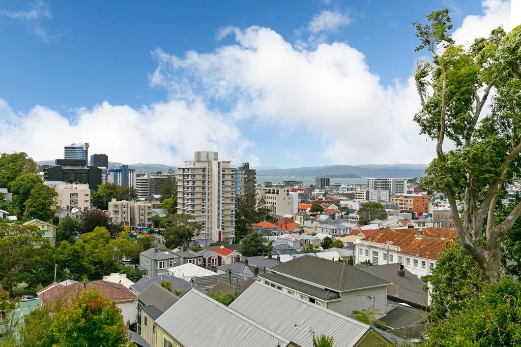 1A/20 Maarama Crescent, Aro Valley, Wellington City