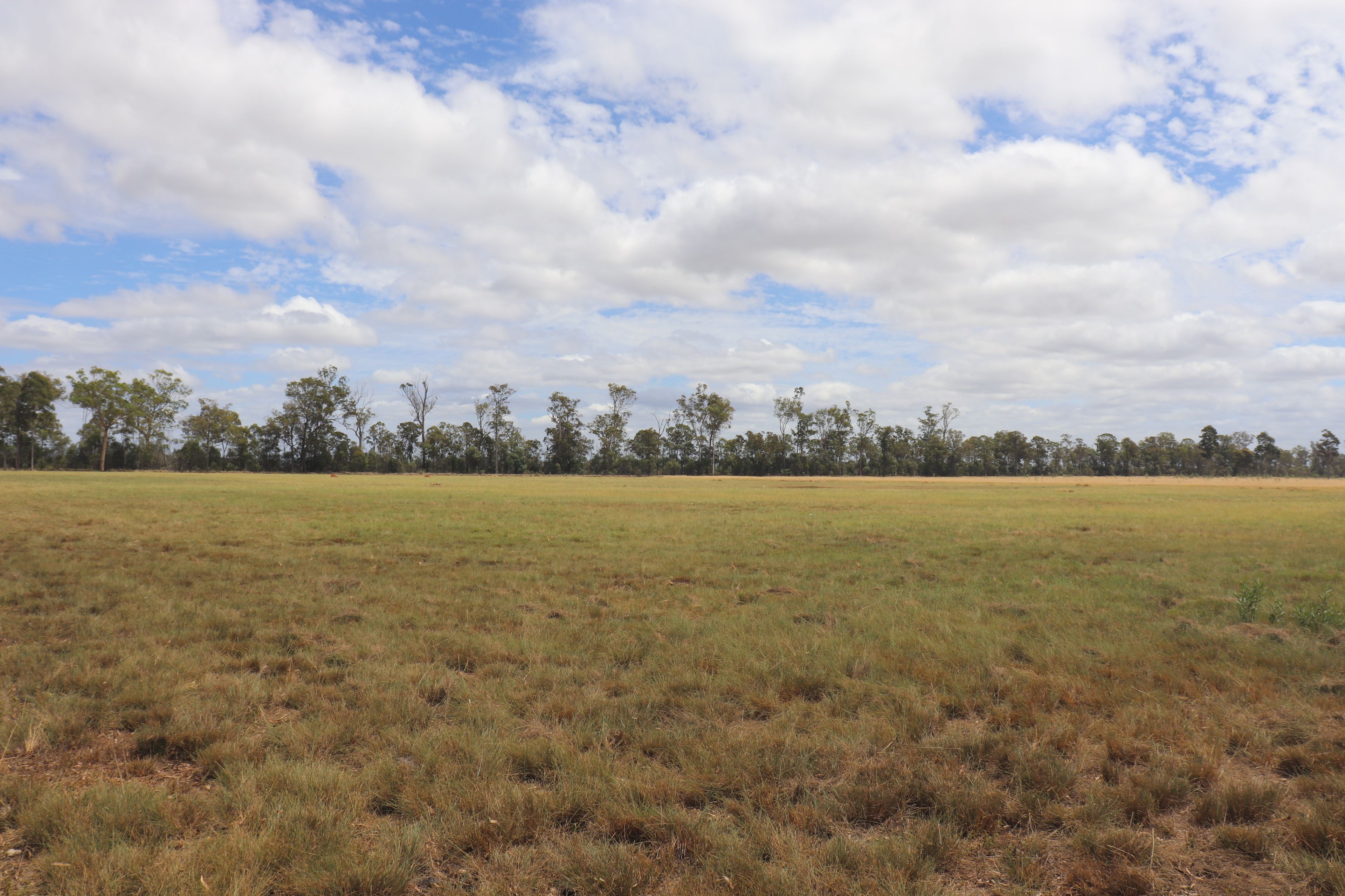 225 Beils Road, Inverlaw, QLD 4610