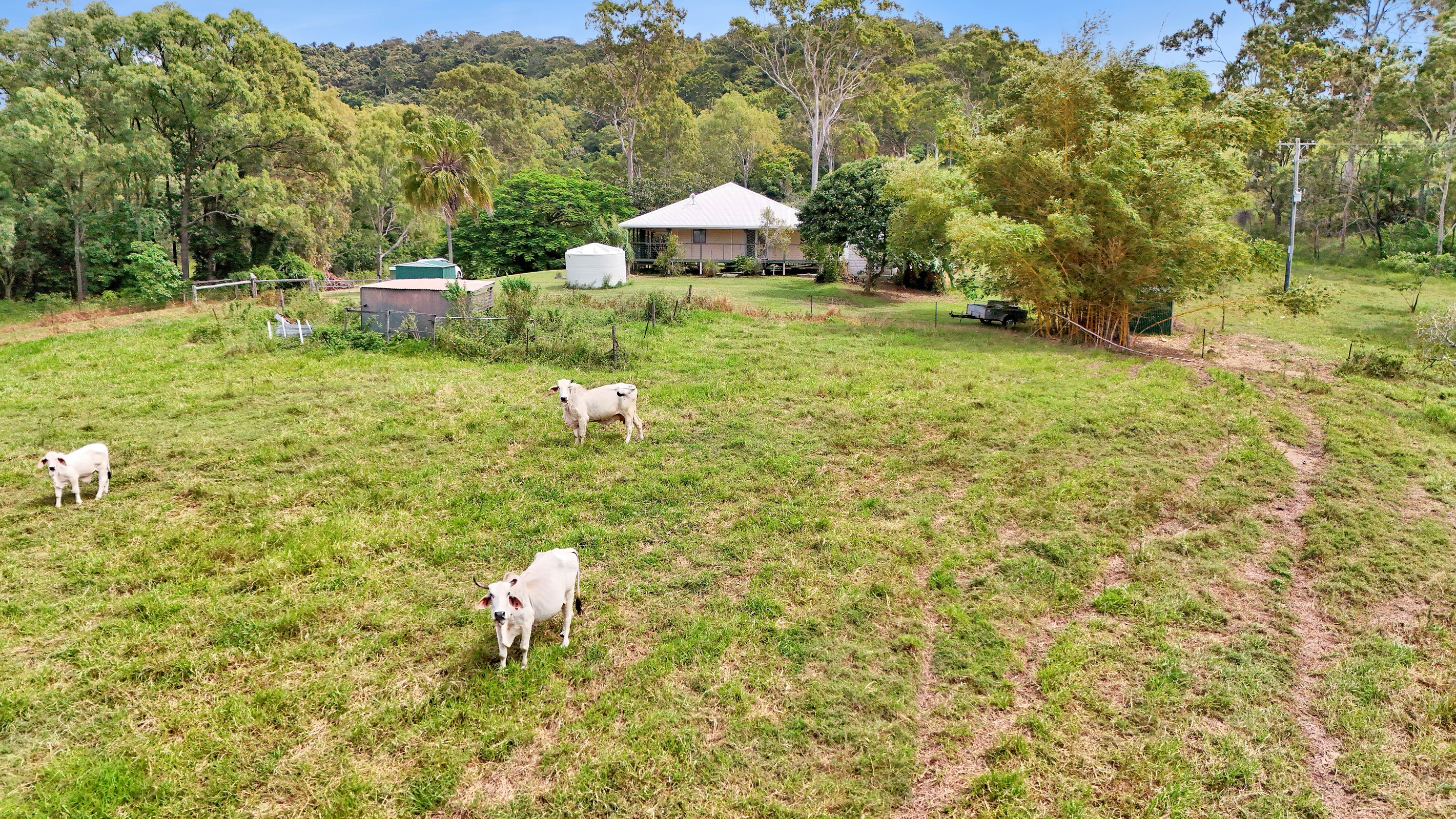 118 Mountney Road, Sarina, QLD 4737