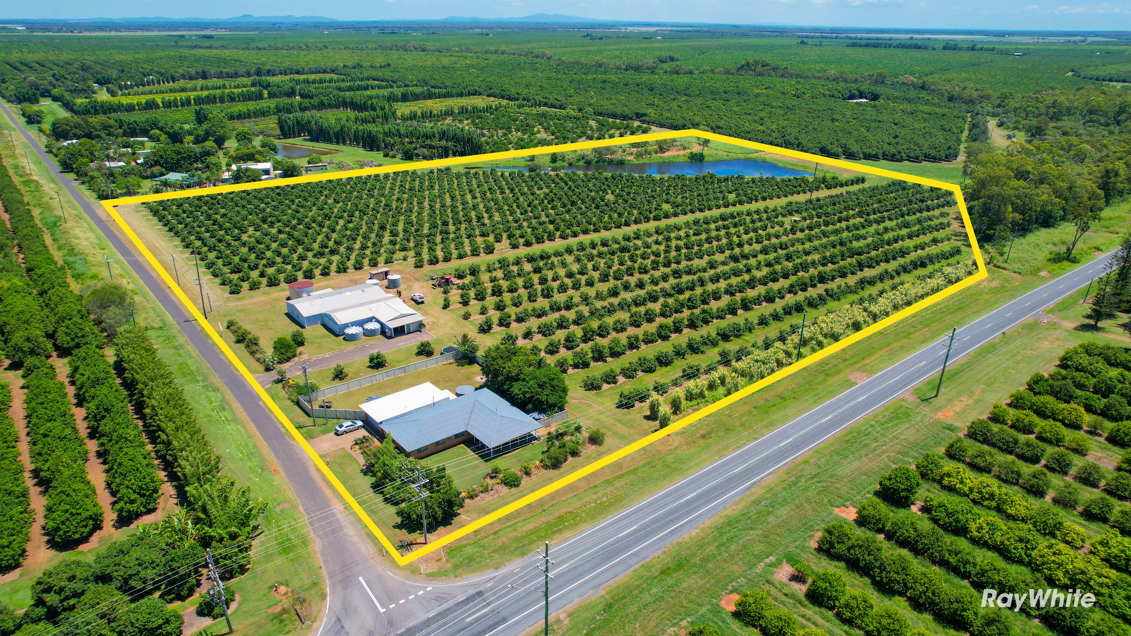 6 Pashleys Road, Creek, QLD 4670 Acreage/SemiRural for Sale