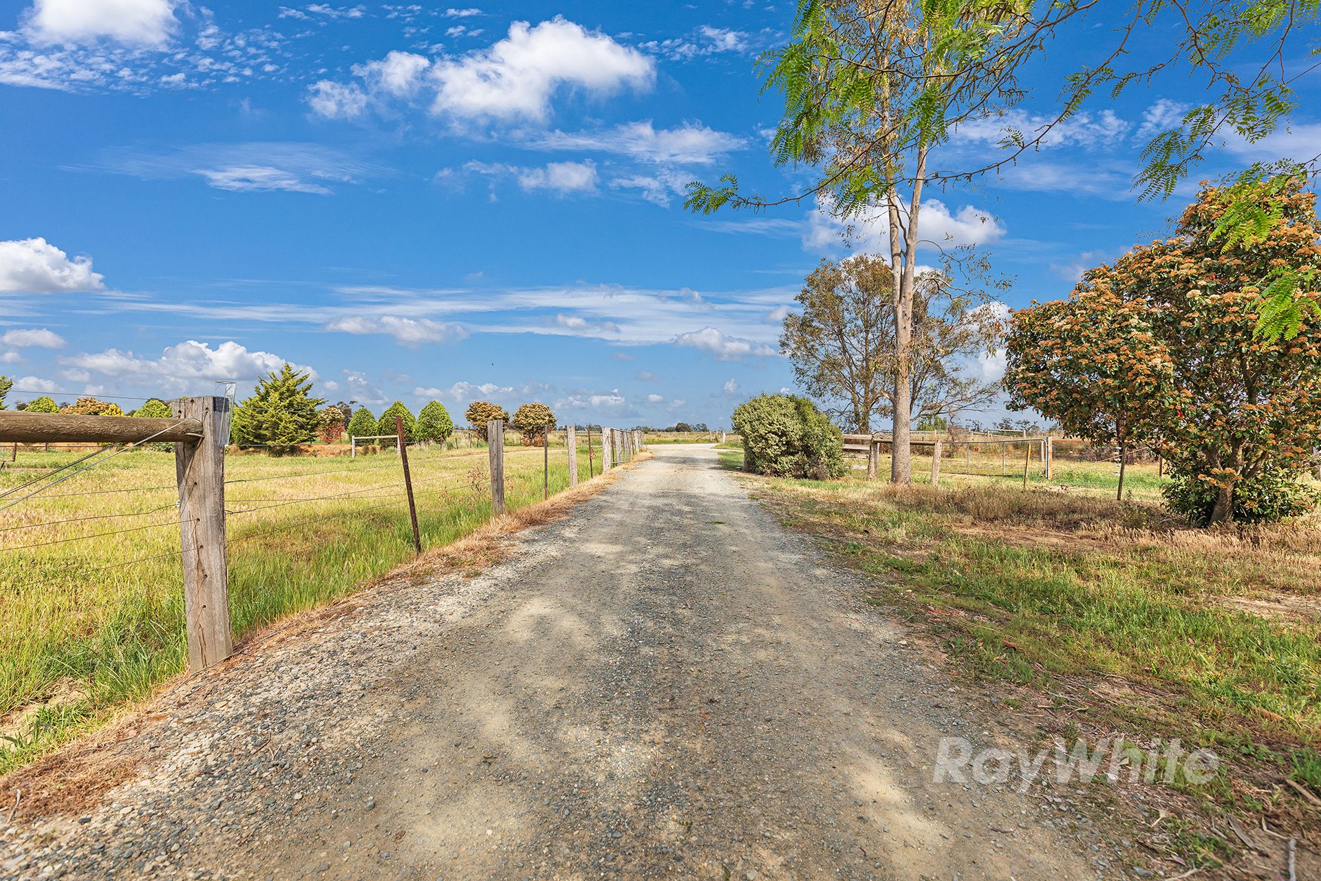 1239 McBain Road, Tongala, VIC 3621