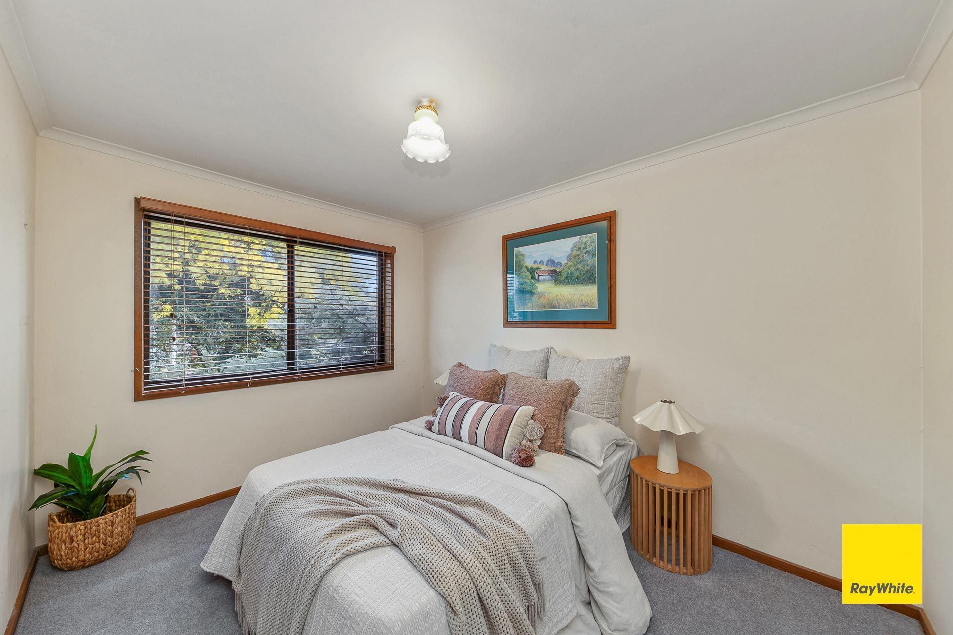 15 Forster Street — photo 13 of 22