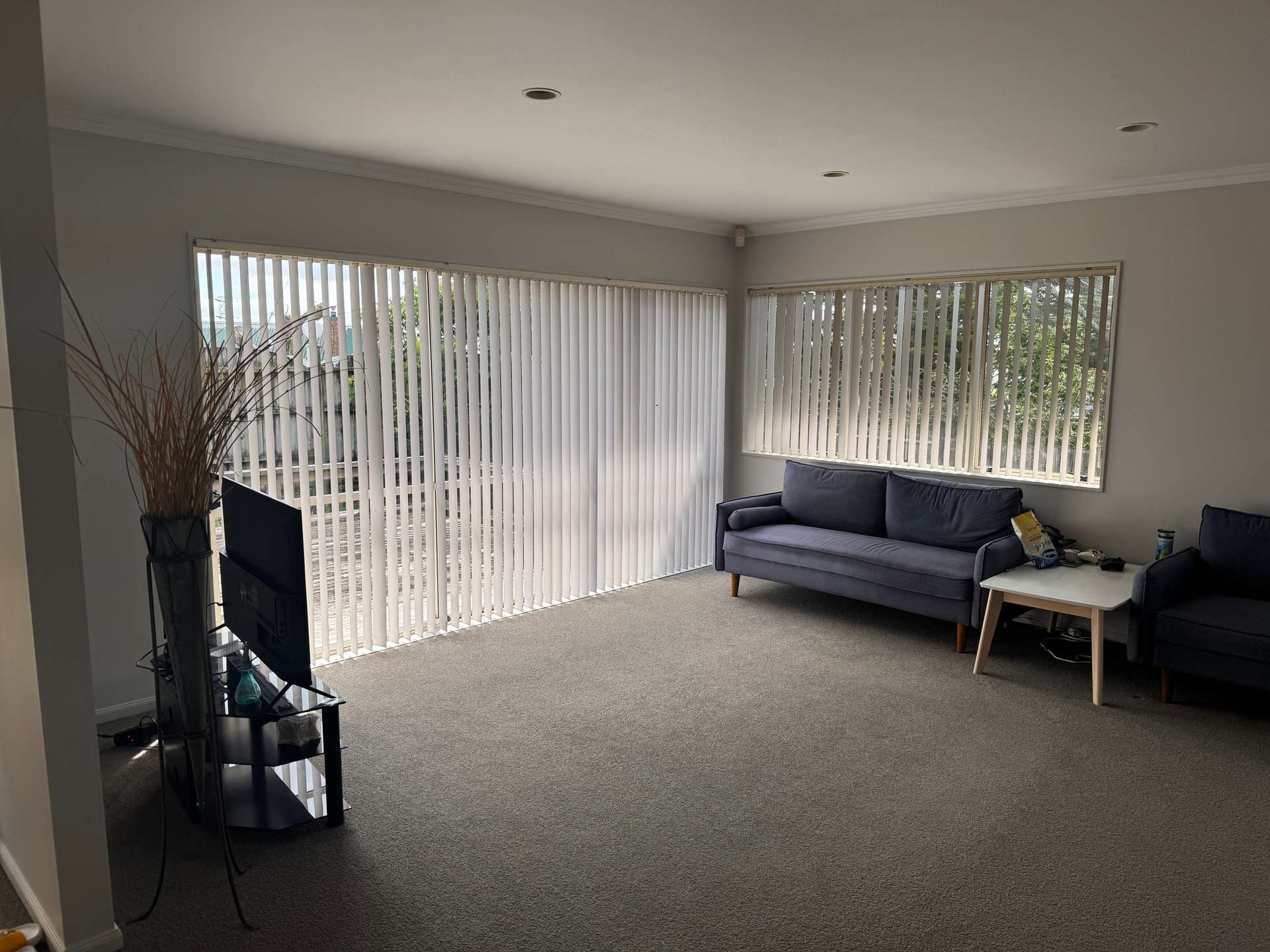 203A Te Atatu Road photo 2