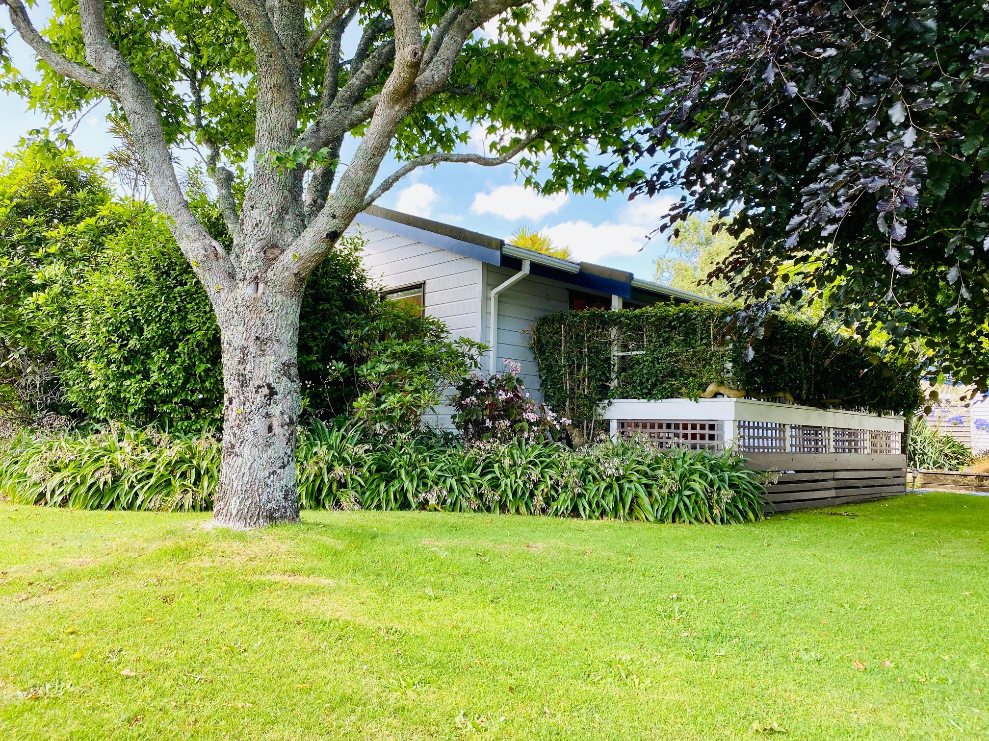 58 Branch Road, Highlands Park, New Plymouth District