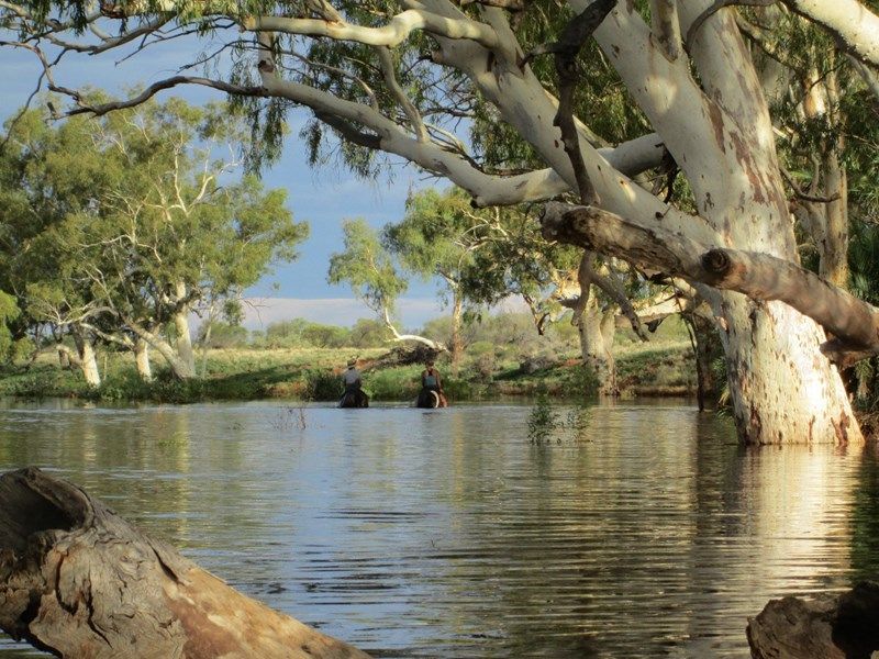 Mooloo Downs, MullewaCarnarvon Road, Gascoyne Junction, WA 6705