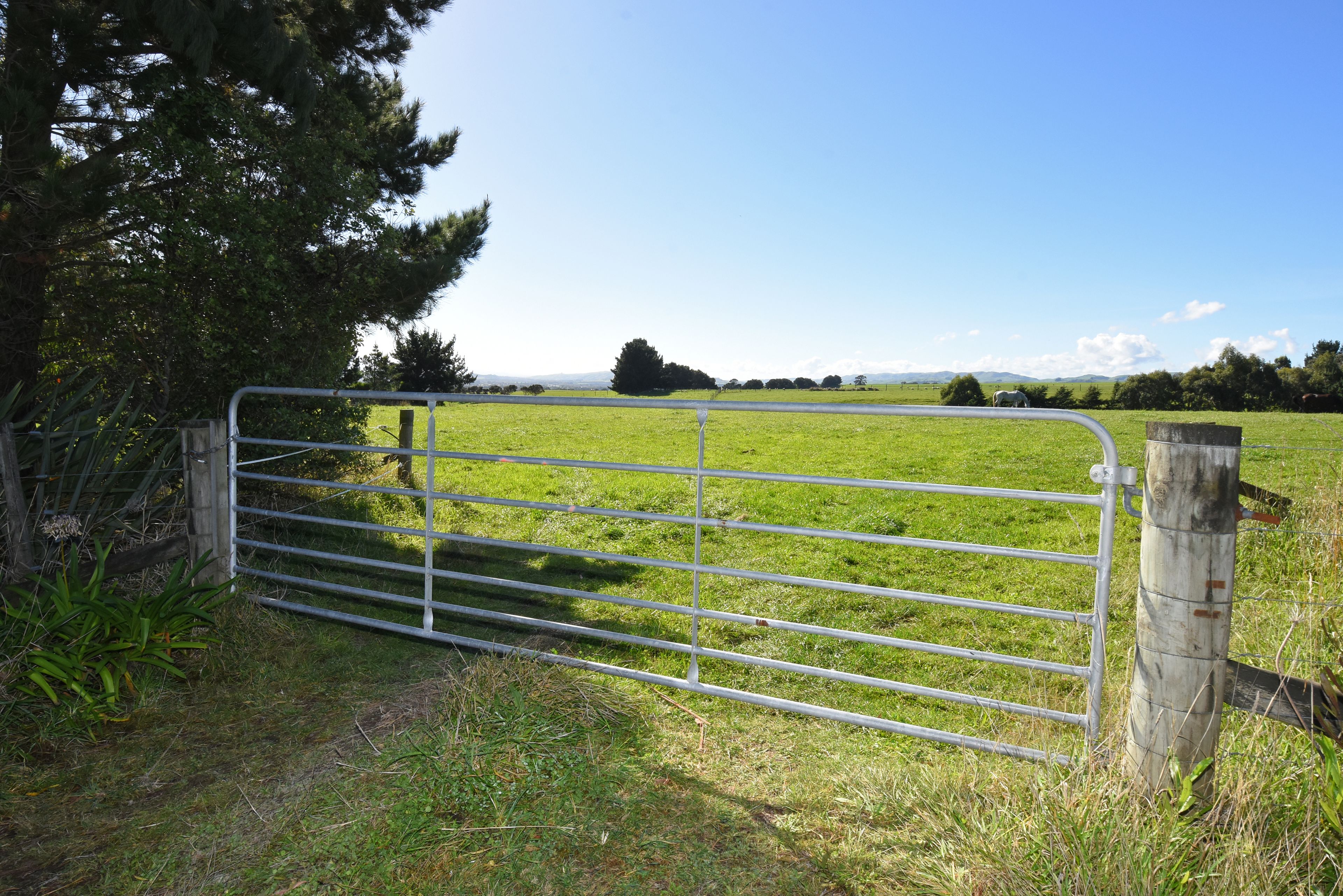 121 Southdown Drive, Martinborough, South Wairarapa District